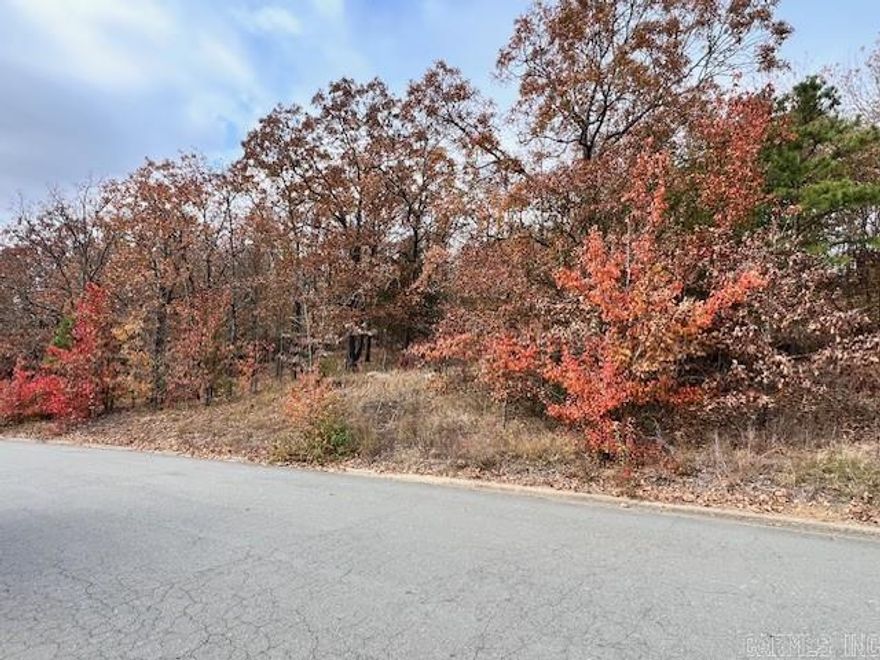 Lots 164 and 165 sold together for only $35,000. Total of .75 acre. Build your dream home here. Must buy both lots. Seller will not break them up.