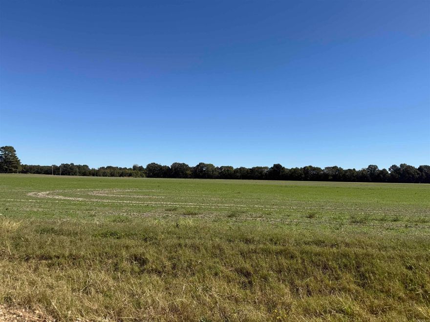 Beautiful 82.71+/- Acres in Halliday – Versatile and Ready for Your Vision!  Discover the perfect blend of open space and opportunity with this approximately 82.71-acre tract in the Halliday area. Recently planted in soybeans and cotton, this productive farmland offers excellent potential whether you’re looking to continue agricultural use, raise livestock, or create a peaceful country homesite.  The property is cleared and sits outside of any flood zone, offering flexibility for future development or recreation. With county road frontage on two sides and less than half a mile of gravel, access is easy and convenient. You’ll also appreciate the proximity to the new four-lane highway—close enough for convenience but far enough to enjoy quiet rural surroundings.  A survey will be completed prior to closing to confirm exact acreage. This pretty piece of land is priced at $472,500—a wonderful opportunity to invest in a beautiful and versatile property in a great location.  *See Agent Remarks*