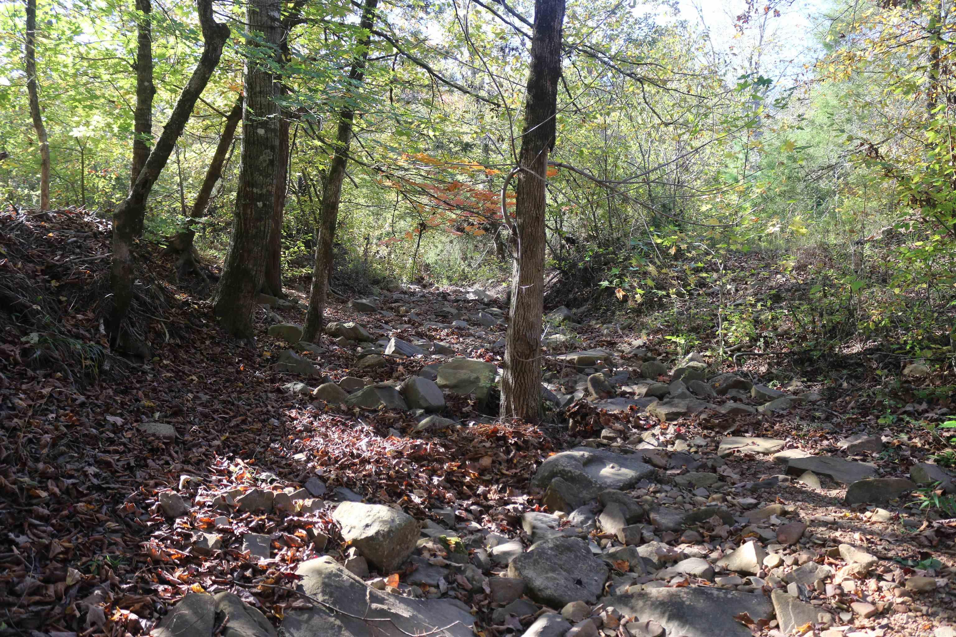 Metes & Bounds - Land