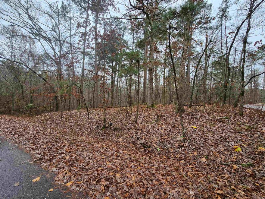 Buildable level corner lot located in the Quijote Subdivision in Hot Springs Village. Just a short drive from the main road Desoto Drive which is visible from the lot.  This lot is located on a secluded and private street. Its a great place to build your home in HSV. Mandatory buy in fee is applicable.