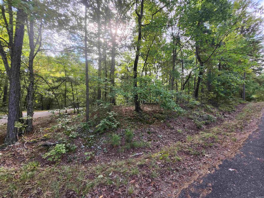 Buildable corner lot located in the Quijote Subdivision in Hot Springs Village. This lot is located on a secluded and private street. Its a great place to build your home in HSV. Mandatory buy in fee is applicable.