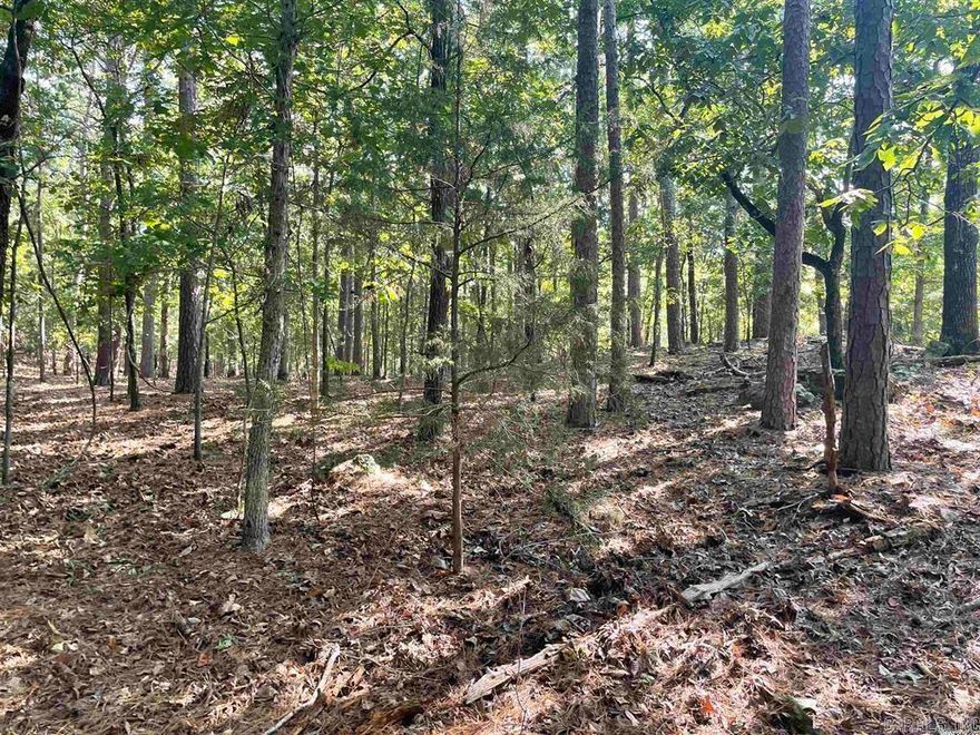 Perfect Lot for your Dream home in established Mystic Isle Subdivision! Beautiful wooded lot close to Greers Ferry Lake, Marina's and several locations to launch your boat. Call today and let's go see it!