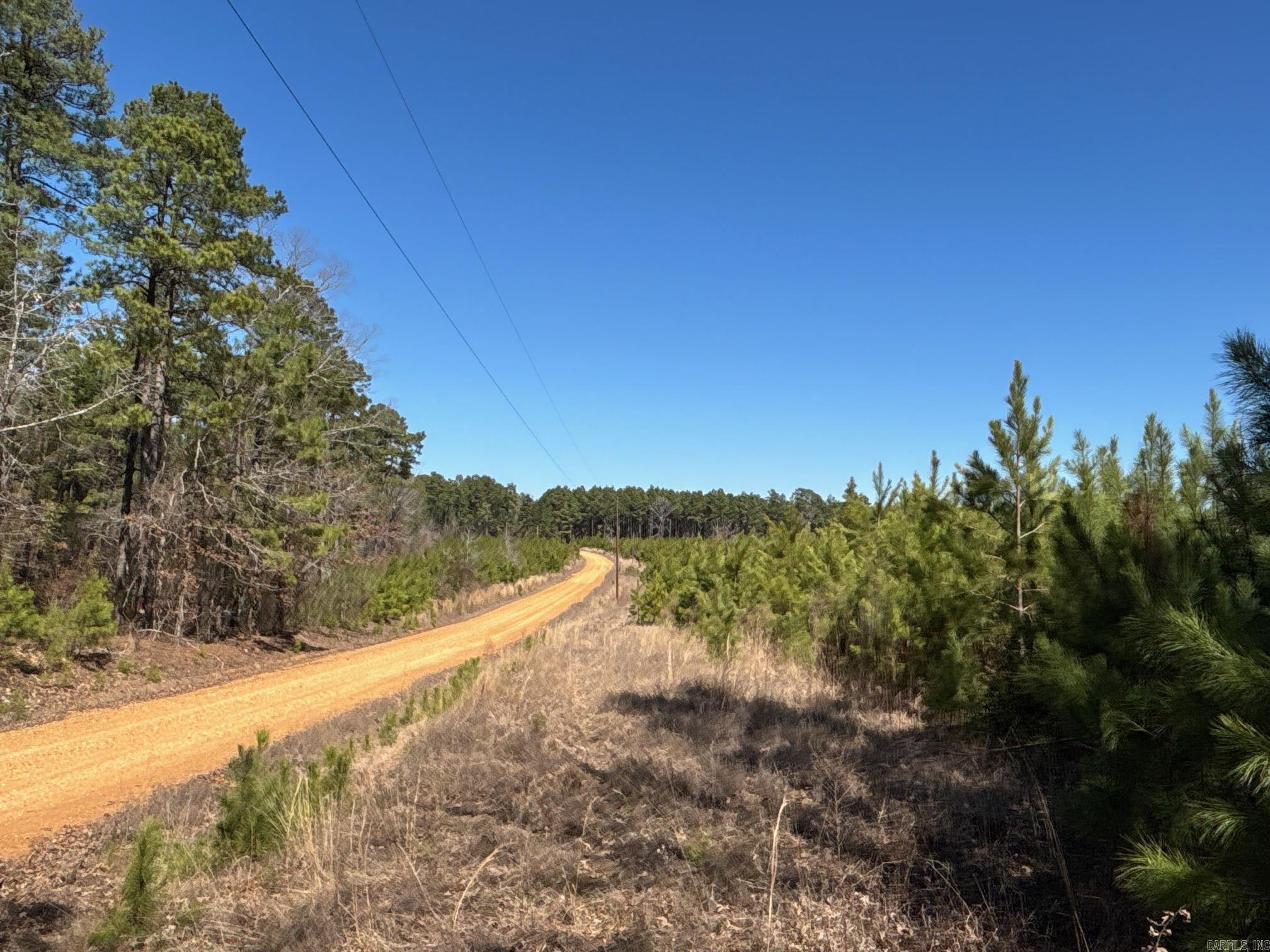 The ‘County Road 201 Tract’ (#03019-04045) is a ±40-acre tract located in the central part of Dallas County about five mile southwest of the Princeton community. Access is via Dallas 201, a gravel county road that runs through the west side of the property. Most of the tract, about 35 acres, contains a loblolly pine plantation that was established in 2019 and is growing very well! The mostly fine sandy loam soils on the property have a weighted site index of 85 feet for loblolly pine at a base age of 50 years. While this tract should be a great long term timberland investment, some utilities are located on the tract making for hunting camp or even home site potential! Looking for something that offers a lot of possibilities...then check out the County Road 201 Tract! This offering does not include mineral interests.