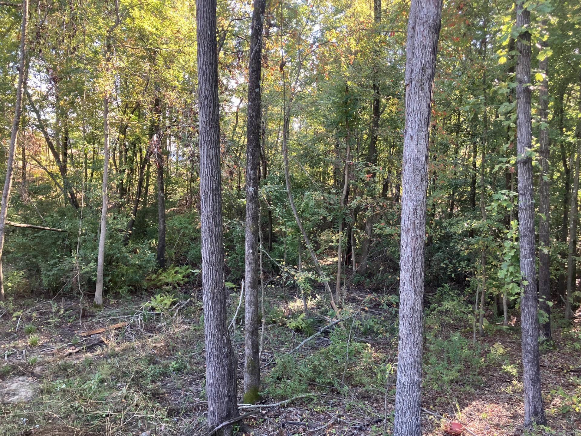 ROLLING BROOK - Residential