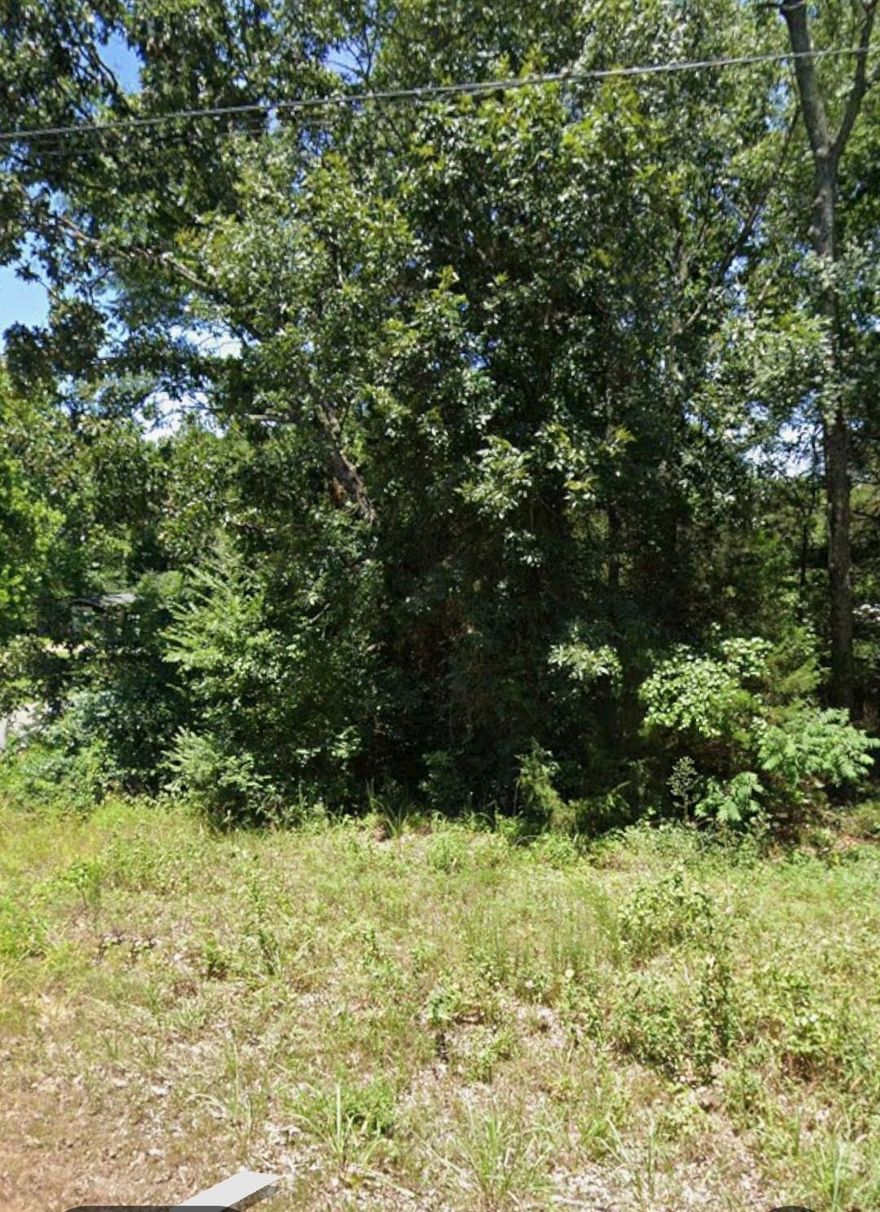 Vacant Lot Sold Before Listed Do not use for comps