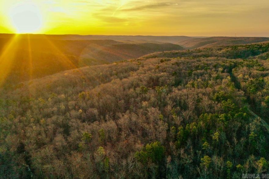 Discover the perfect blend of natural beauty and convenience with this stunning 20 +/- acre property nestled in the serene mountain valleys just 10 minutes from downtown Clinton, Arkansas. Offering breathtaking views, this property boasts a mixture of pines and oaks, creating a peaceful and private setting ideal for your dream home, getaway cabin, or investment opportunity.  The land features level areas perfectly suited for building, providing an excellent foundation for future development. Located just one mile from a paved blacktop road, access is easy and convenient while still maintaining the convenience of being located so close to conveniences.  Abundant wildlife signs make this property a great choice for nature lovers, hunters, or those seeking a quiet escape. With electricity already at the property, your building plans can move forward with ease.  Whether you’re looking to build a weekend retreat, permanent residence, or recreational getaway, this 20 +/- acre gem offers endless potential. Don’t miss your chance to own a piece of Arkansas’s stunning natural landscape—contact us today to schedule a private tour!