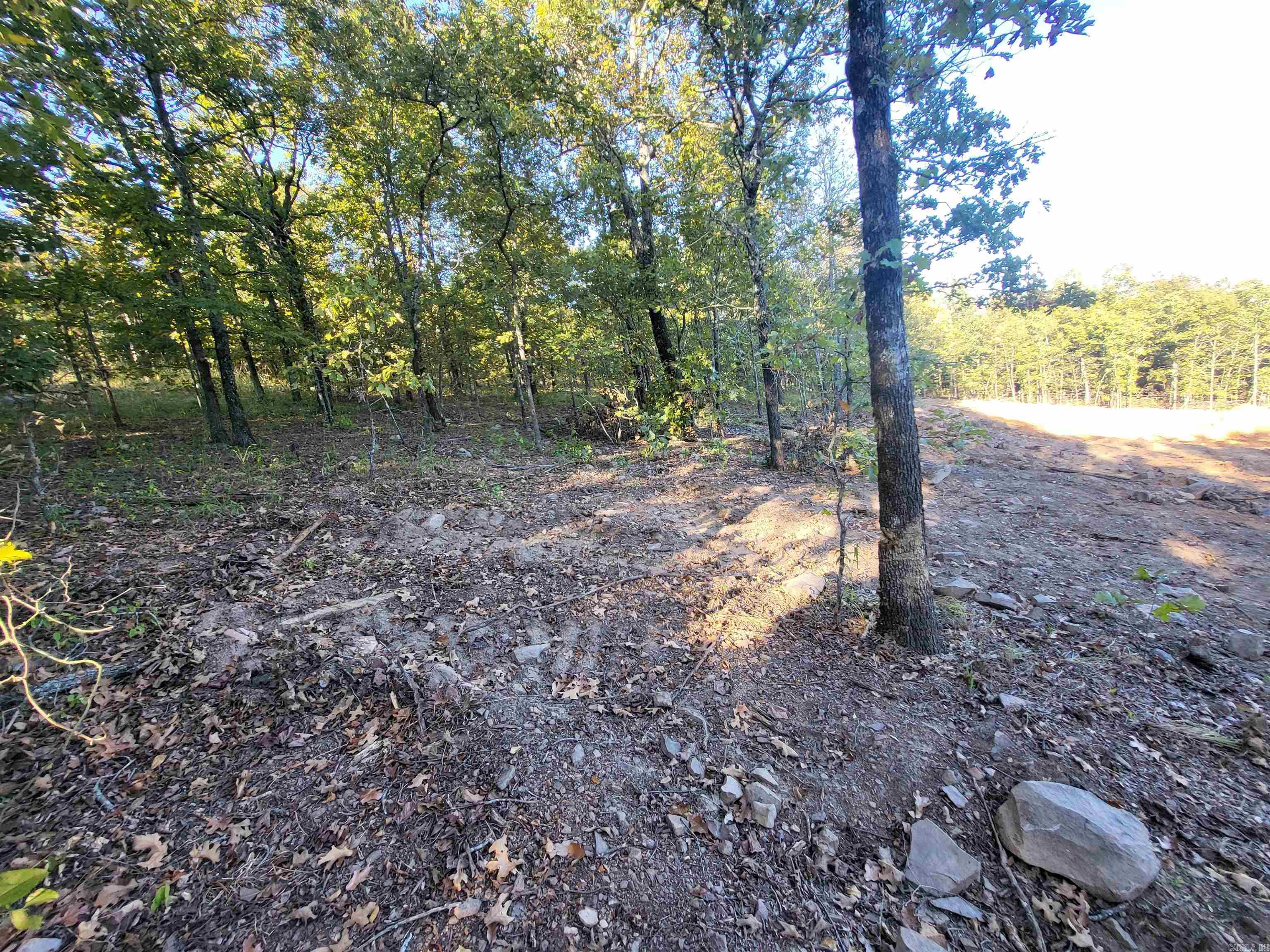 Saltillo Heights - Land