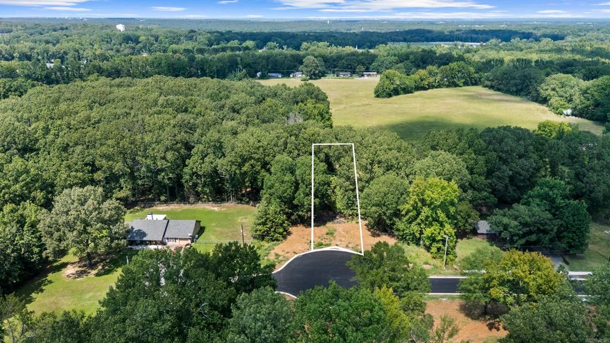 Level lot in Caiden Place subdivision in the heart of Cabot! Located within the highly rated Cabot School District, easy access to shopping, dining, and just a few miles from Little Rock and the Air Force Base! It is a must see! See agent remarks.