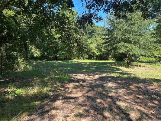 121 POLK ROAD 164, MENA, AR 71953 - Image 7ccf2b466e5d97c2b3507e0fdcaf7268/2668769599