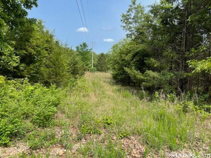 This lovely golf course lot is located on #5 Fairway of Turkey Mountain Golf Course inside the city limits of Horseshoe Bend, Arkansas. It consists of approx. 0.40 of an acre, and 115x150 are the approx. dimensions. It is mostly wooded and unimproved.  City water and sewer are available on this Residential Lot making it a great place to build! Great views of the golf course would be a bonus if you were to build a home!