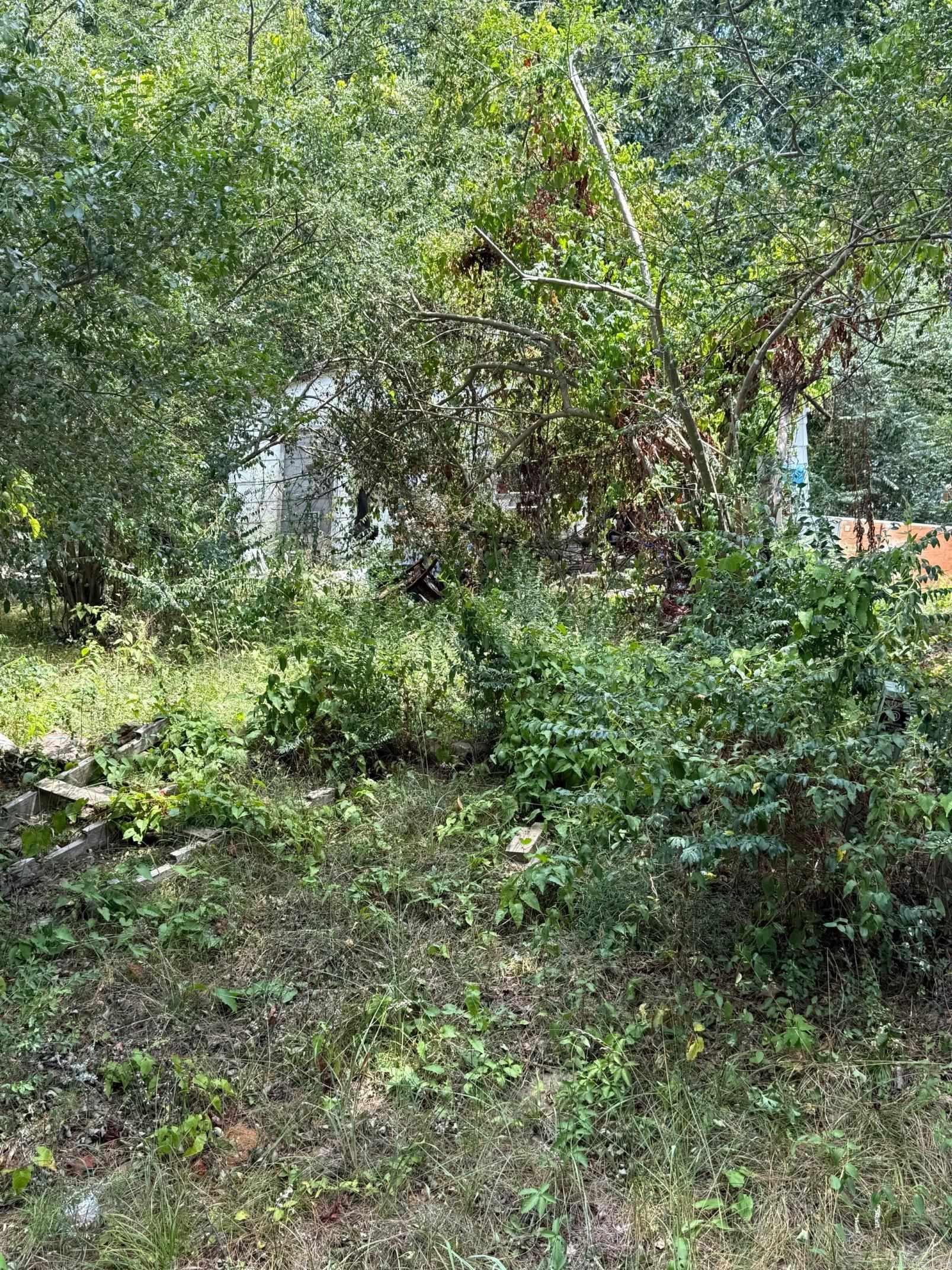 Heber Springs Original - Residential