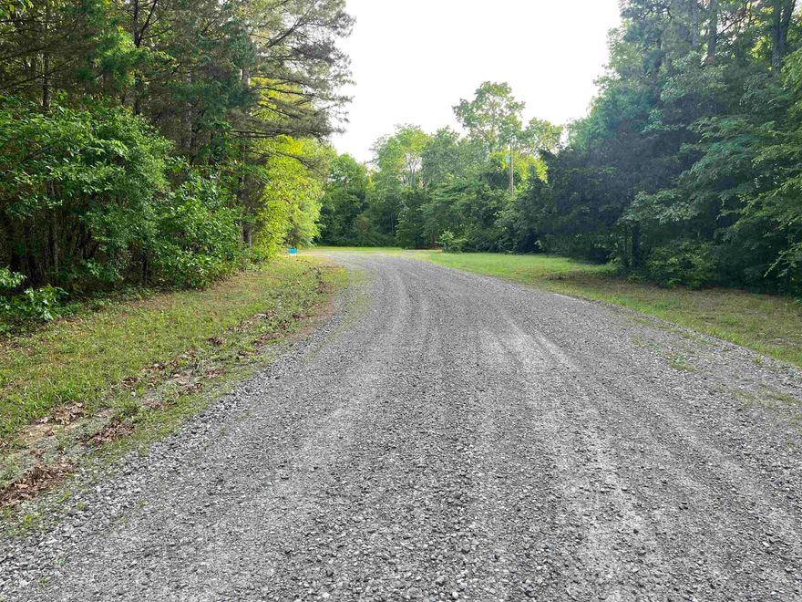 Great level wooded lot waiting for you to build your dream home on!