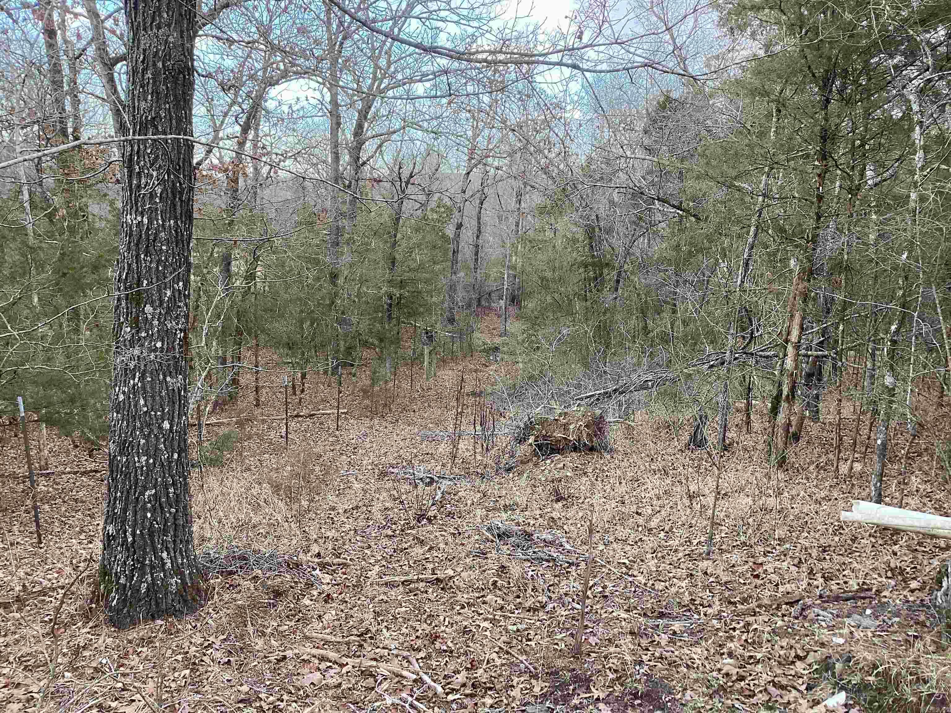 Metes & Bounds - Land