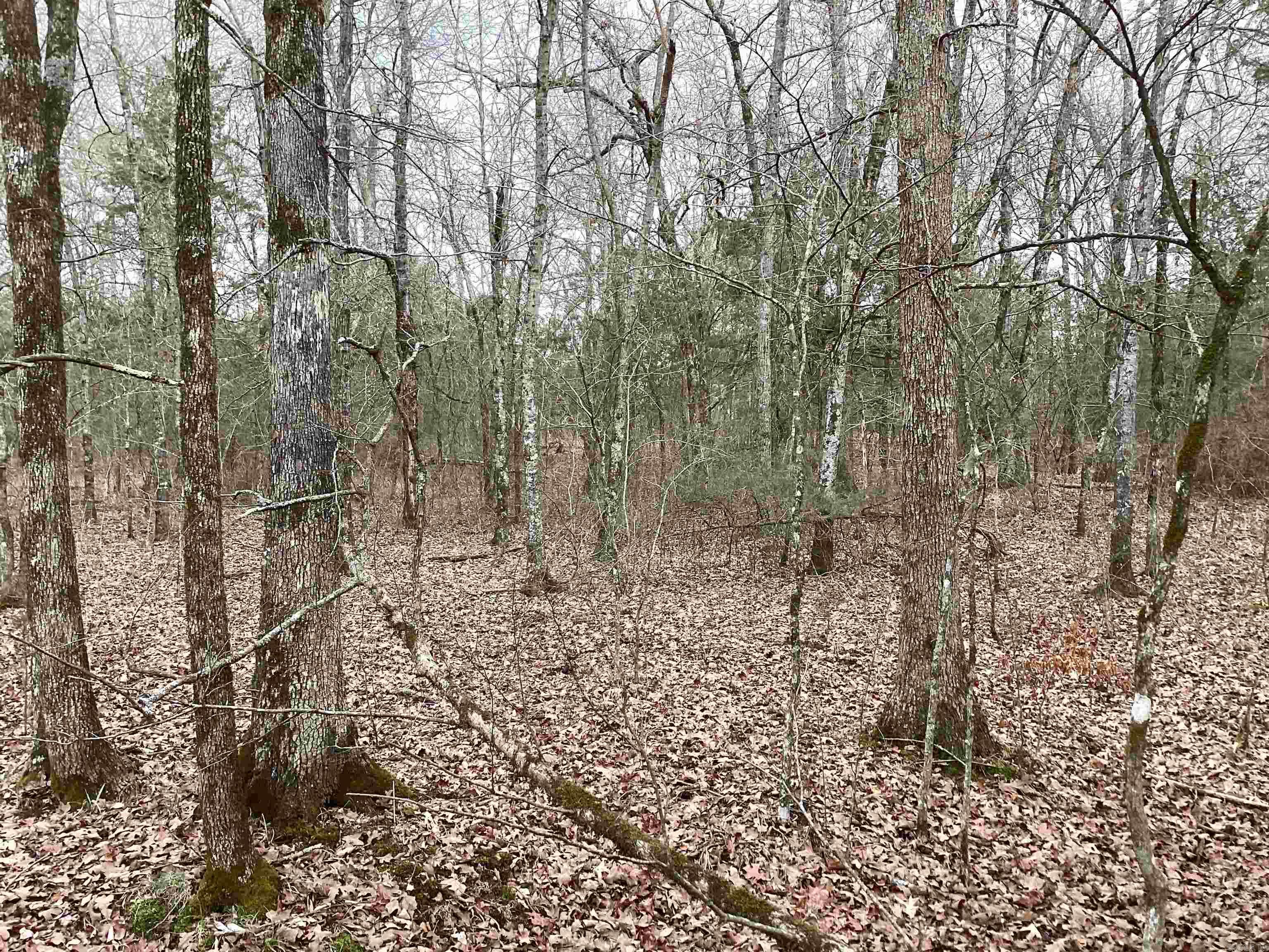 Metes & Bounds - Land