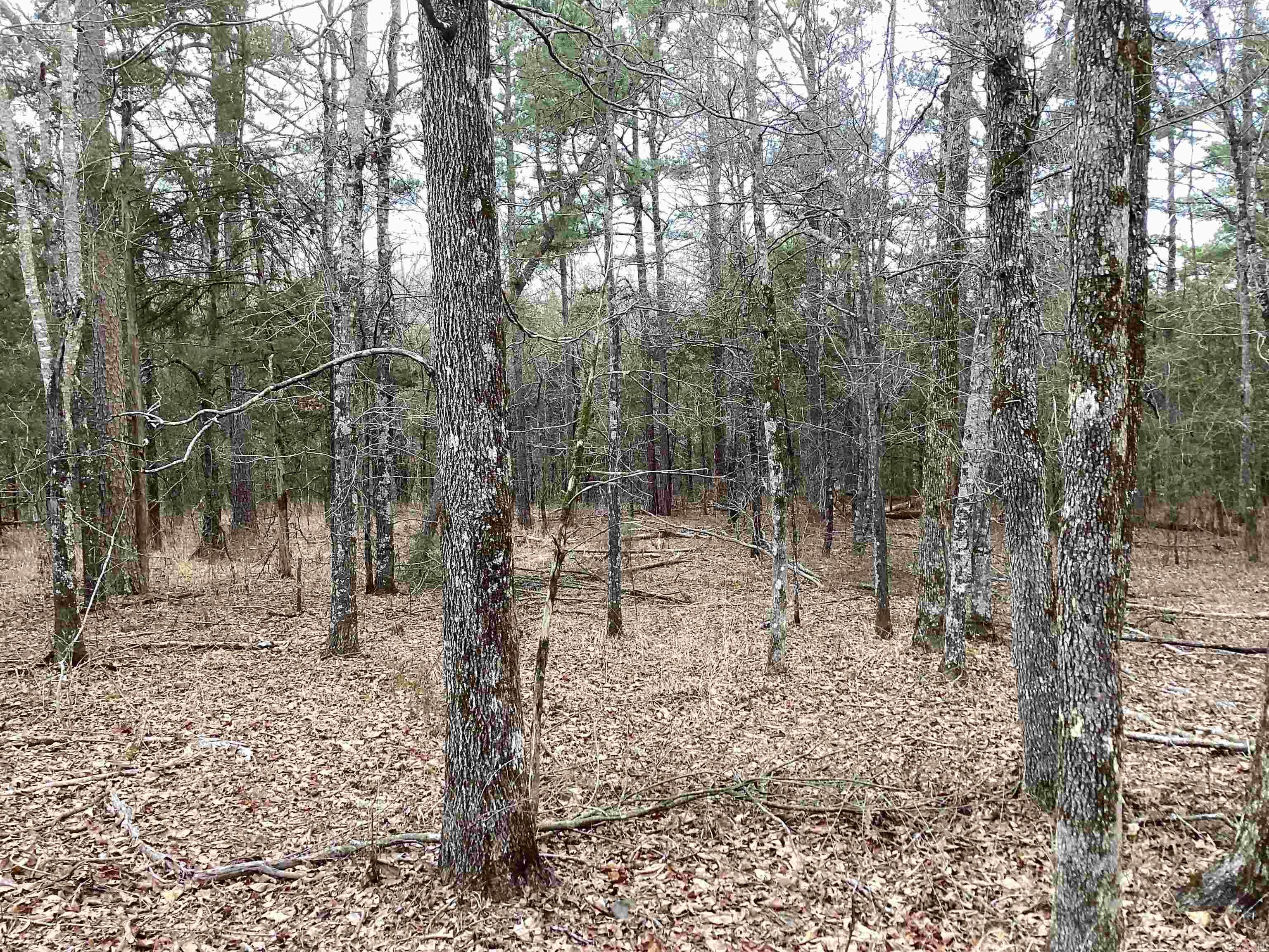 Metes & Bounds - Land