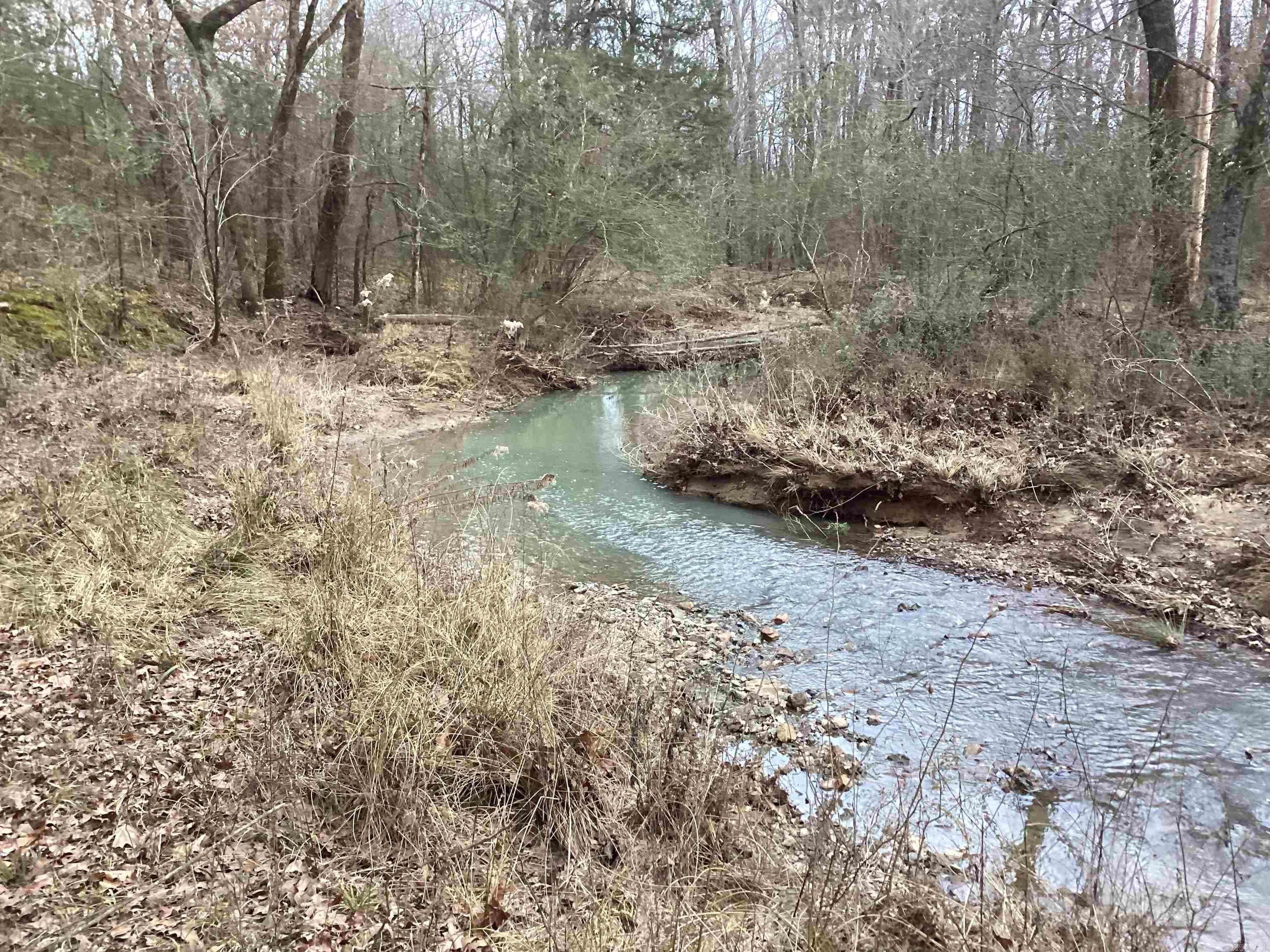 NATIONAL FOREST BOUNDARY, CHANCES CREEK AND LICK BRANCH all on one tract of land! Irons Fork Lake right down the road! This place has a great mix of timber and small openings for a future pasture/garden/food plots. The bonus is the unique old barn on this property that is unlike any you've ever seen. Electricity is easily accessed. Deeded easement to the property which is very private setting for escaping the rat race. This place has limitless possibilities for you to experience. See agent remarks