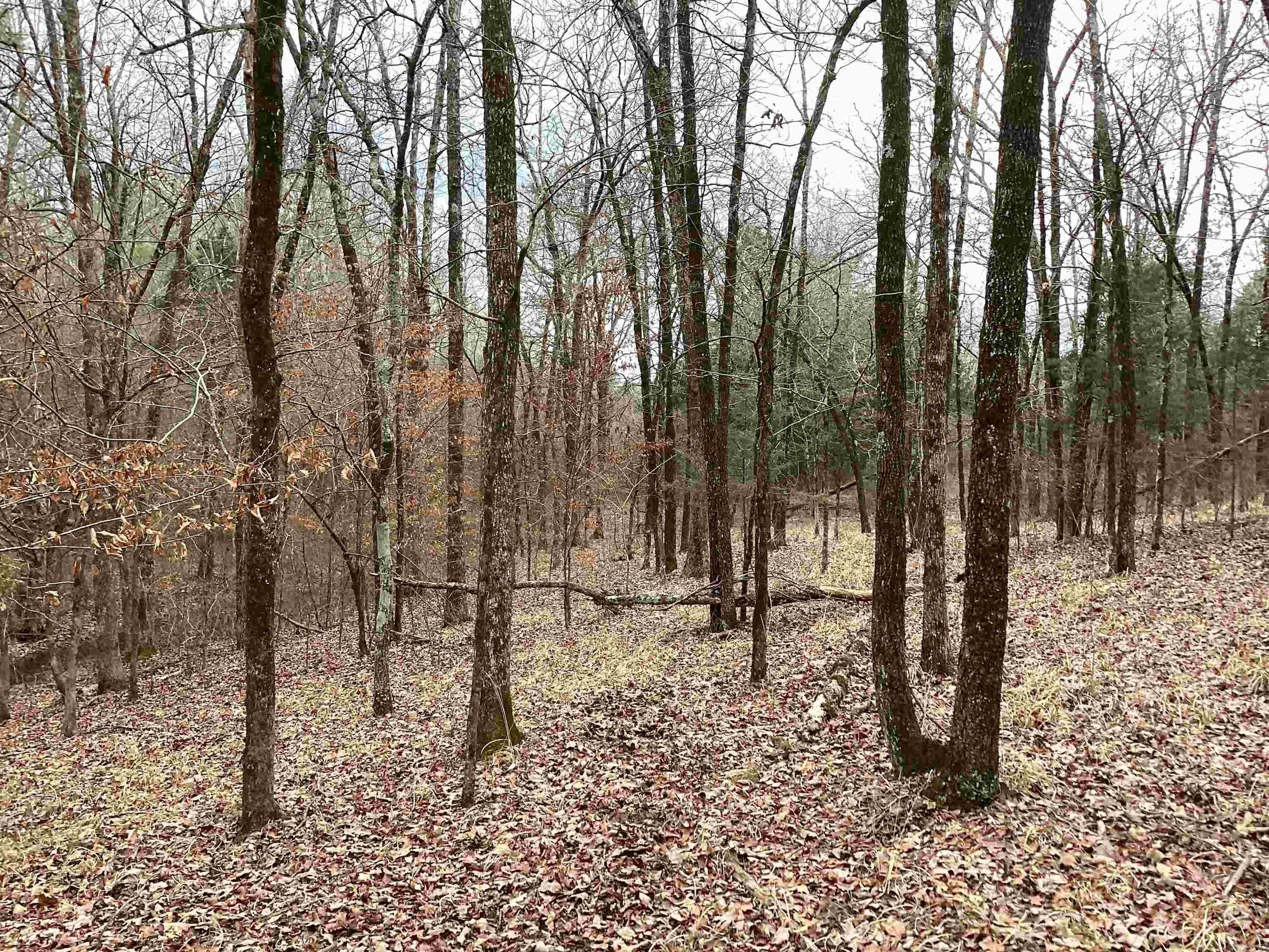 Metes & Bounds - Land