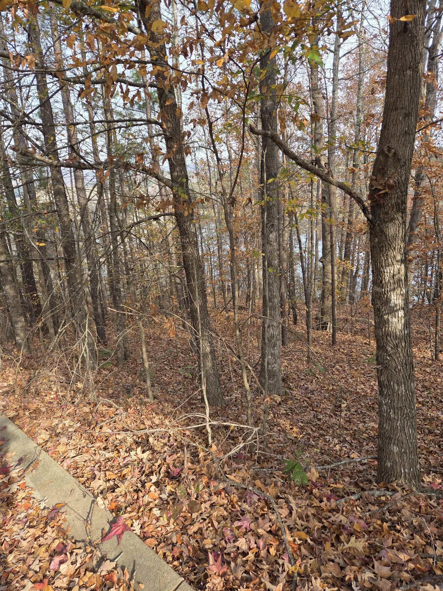 RIDGE AT LIGHT HOUSE COVE - Land