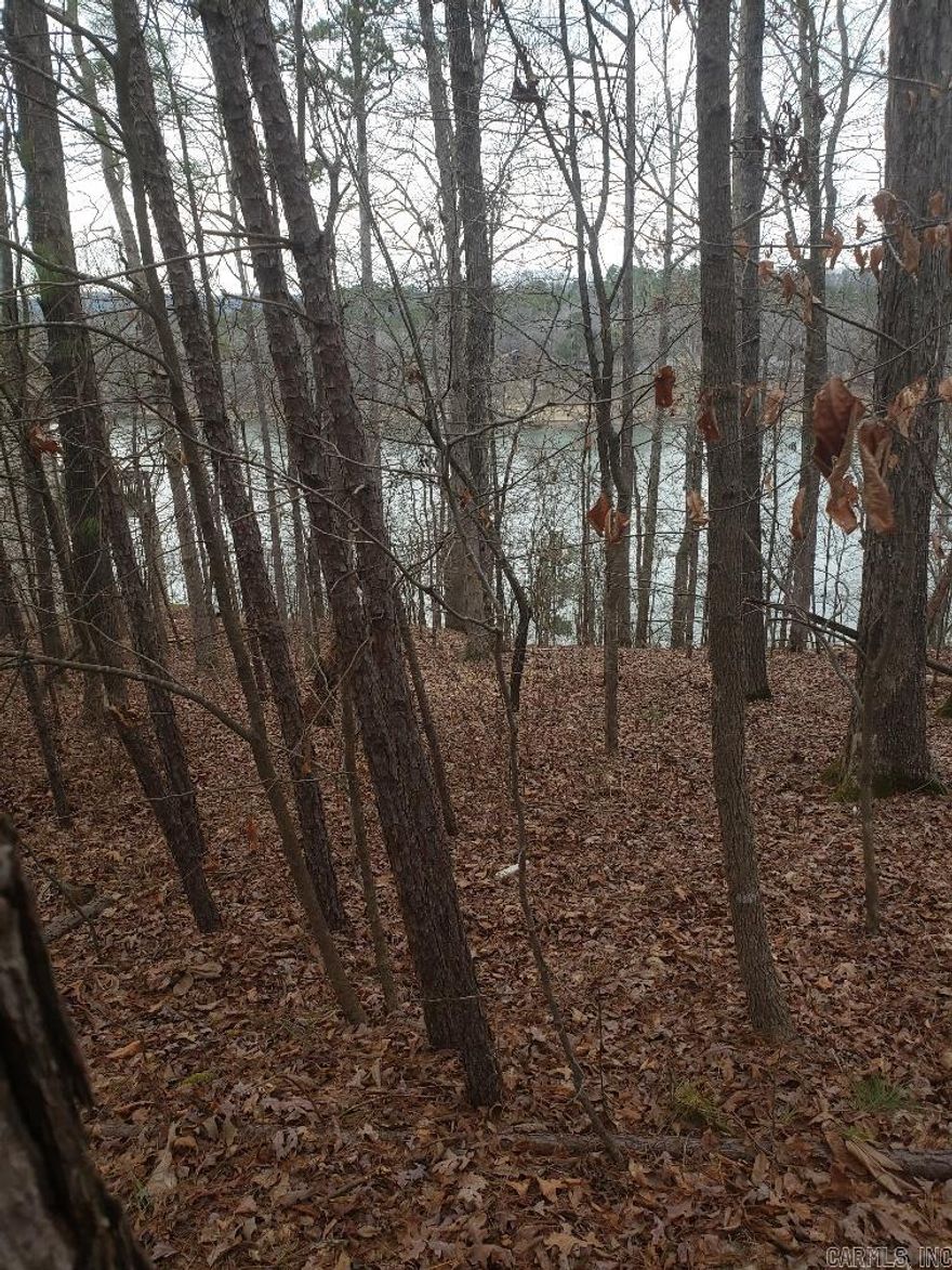 Lot comes with a boat slip on Marina Pt, Dock 4, slip 18 Land RPID #94657.