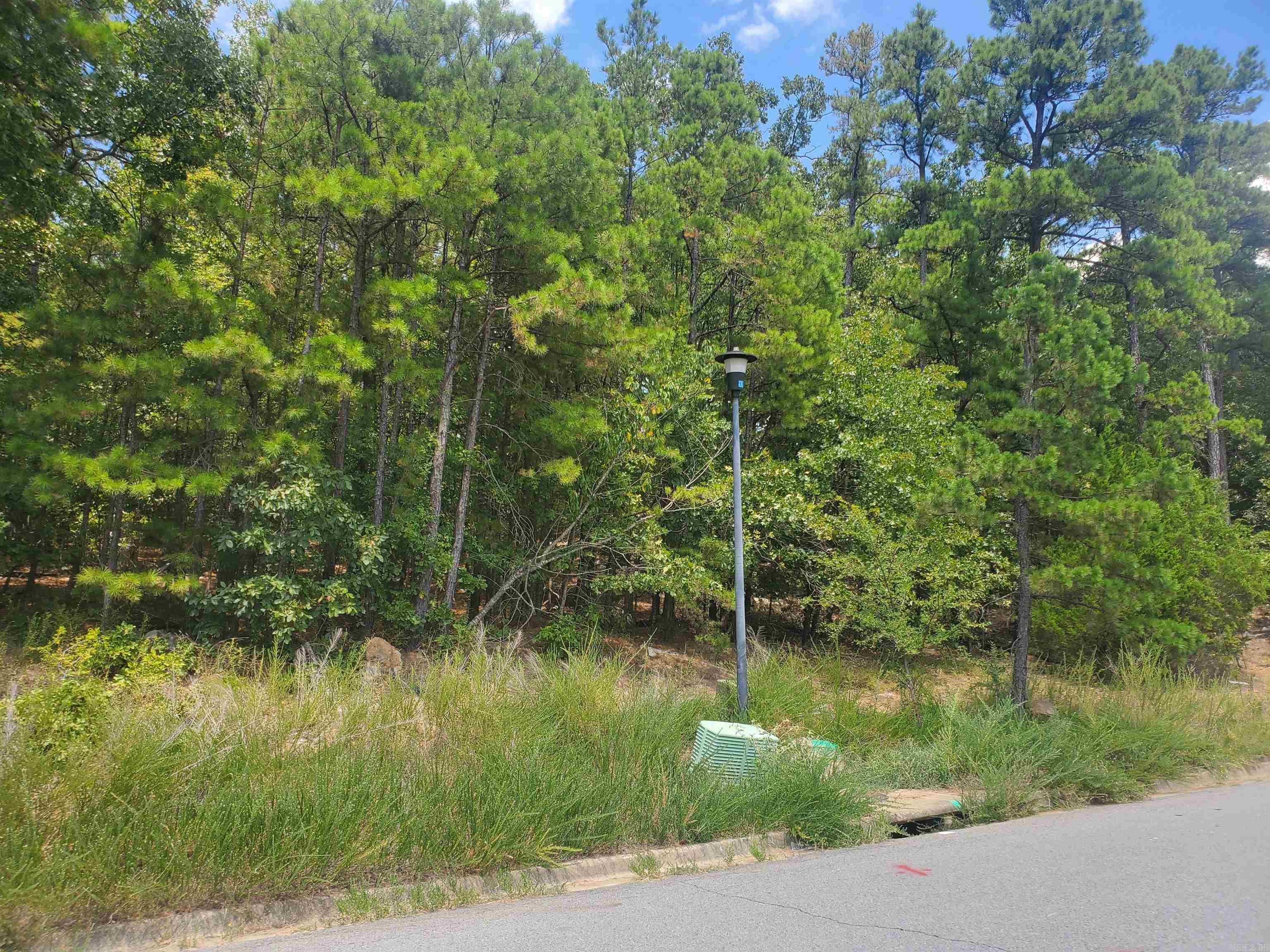Maumelle Valley Estates - Land