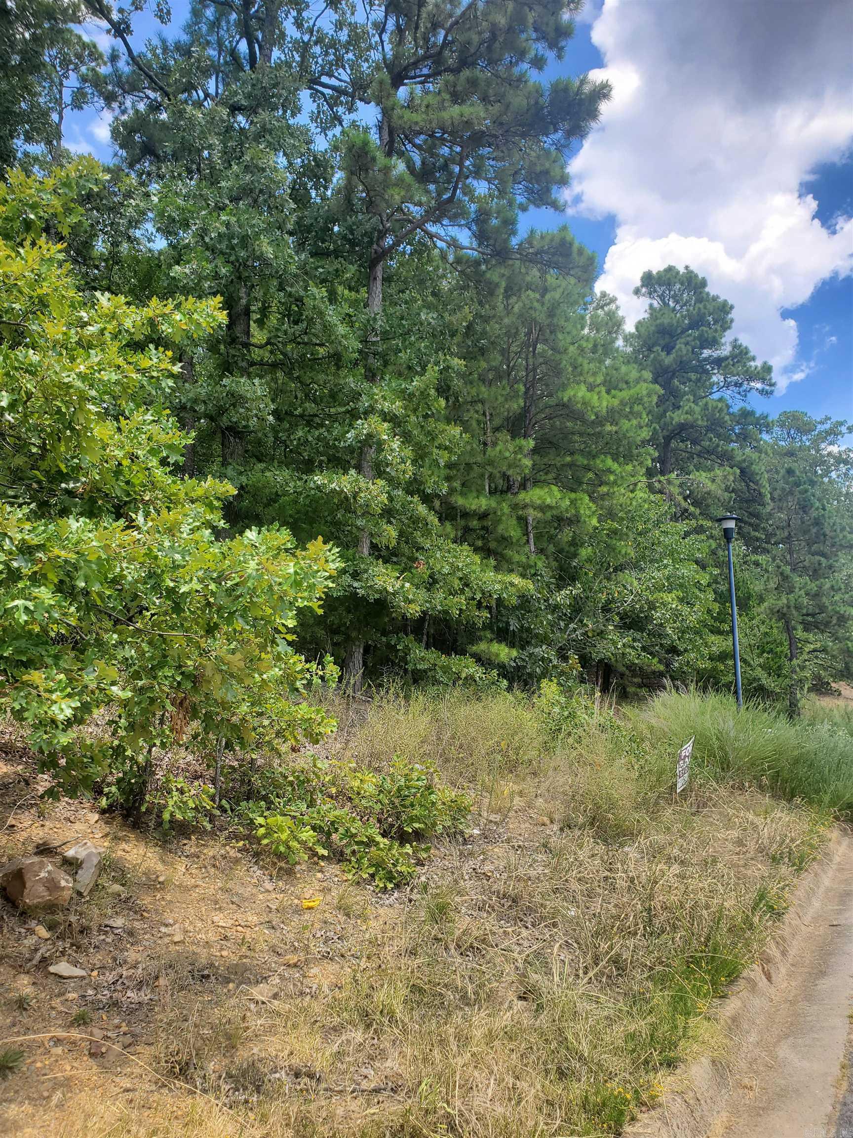 Maumelle Valley Estates - Land