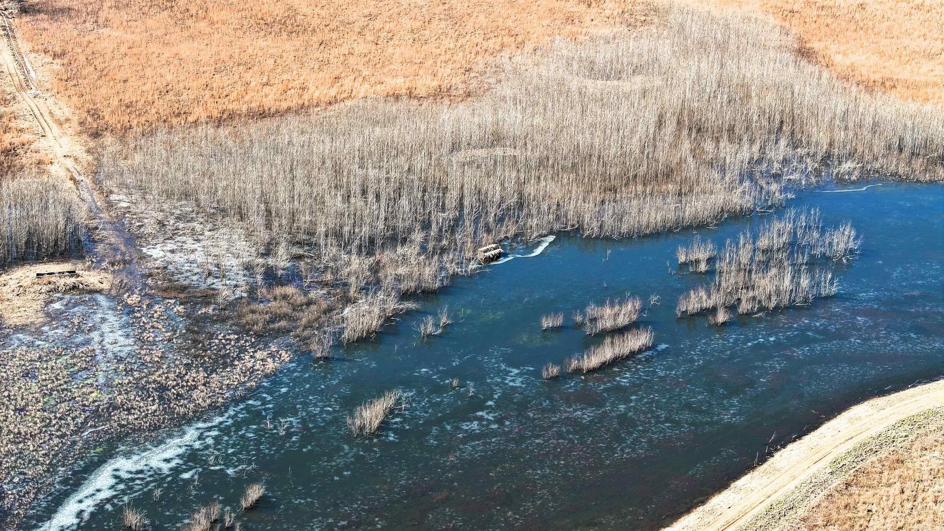 Not in Subdivision - Land