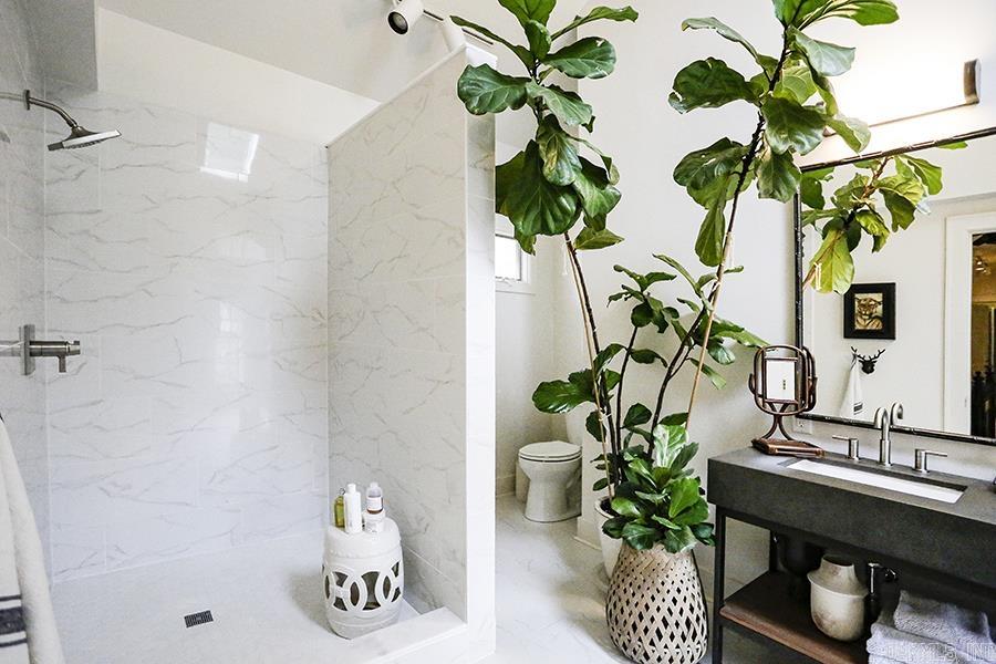 NEWTONS - Residential