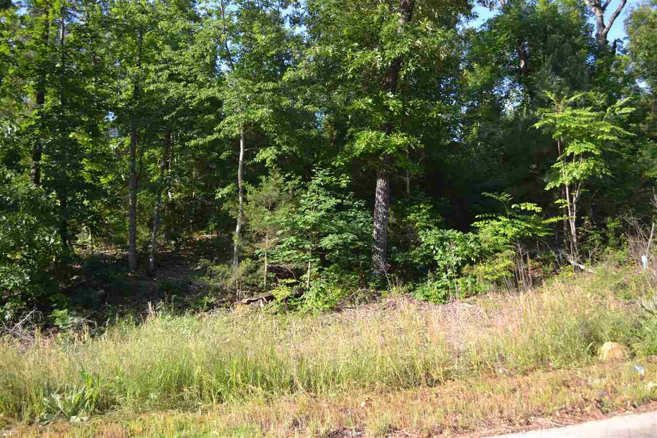 Pawnee Estates - new subdivision close to 67/167, shopping & schools. Build your dream home on one of the many beautiful lots. Utilities at the street. Lot is located on a quiet cove.
