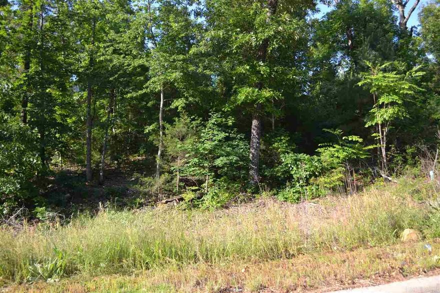 Pawnee Estates - new subdivision close to 67/167, shopping & schools.  Build your dream home on one of the many beautiful lots.  Utilities at the street. Lot is located on a quiet cove.