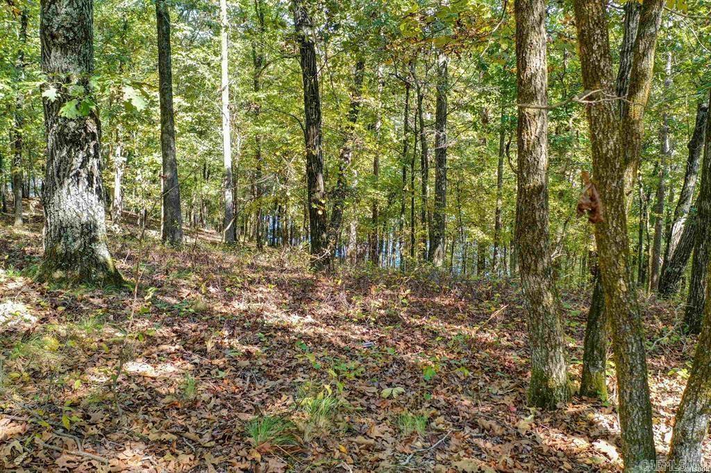 One of the few lake lots available. Located on Lake Pineda. New buyers to the village pay $250.00 one time fee at closing