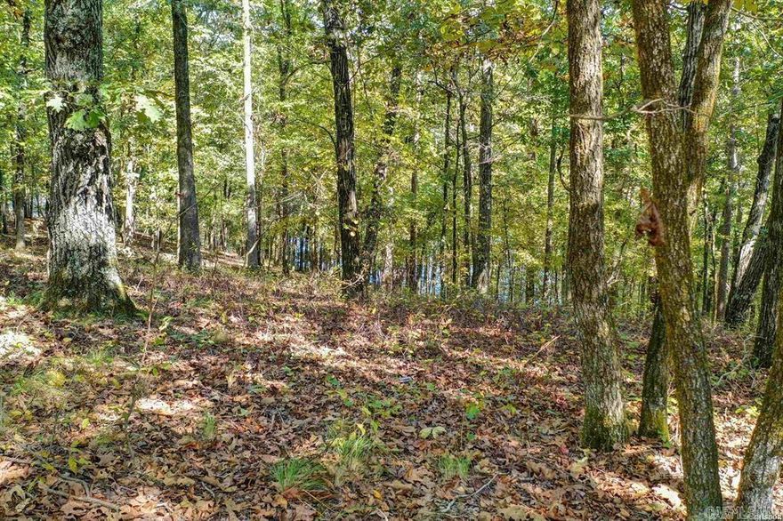One of the few lake lots available.  Located on Lake Pineda.  New buyers to the village pay $250.00 one time fee at closing