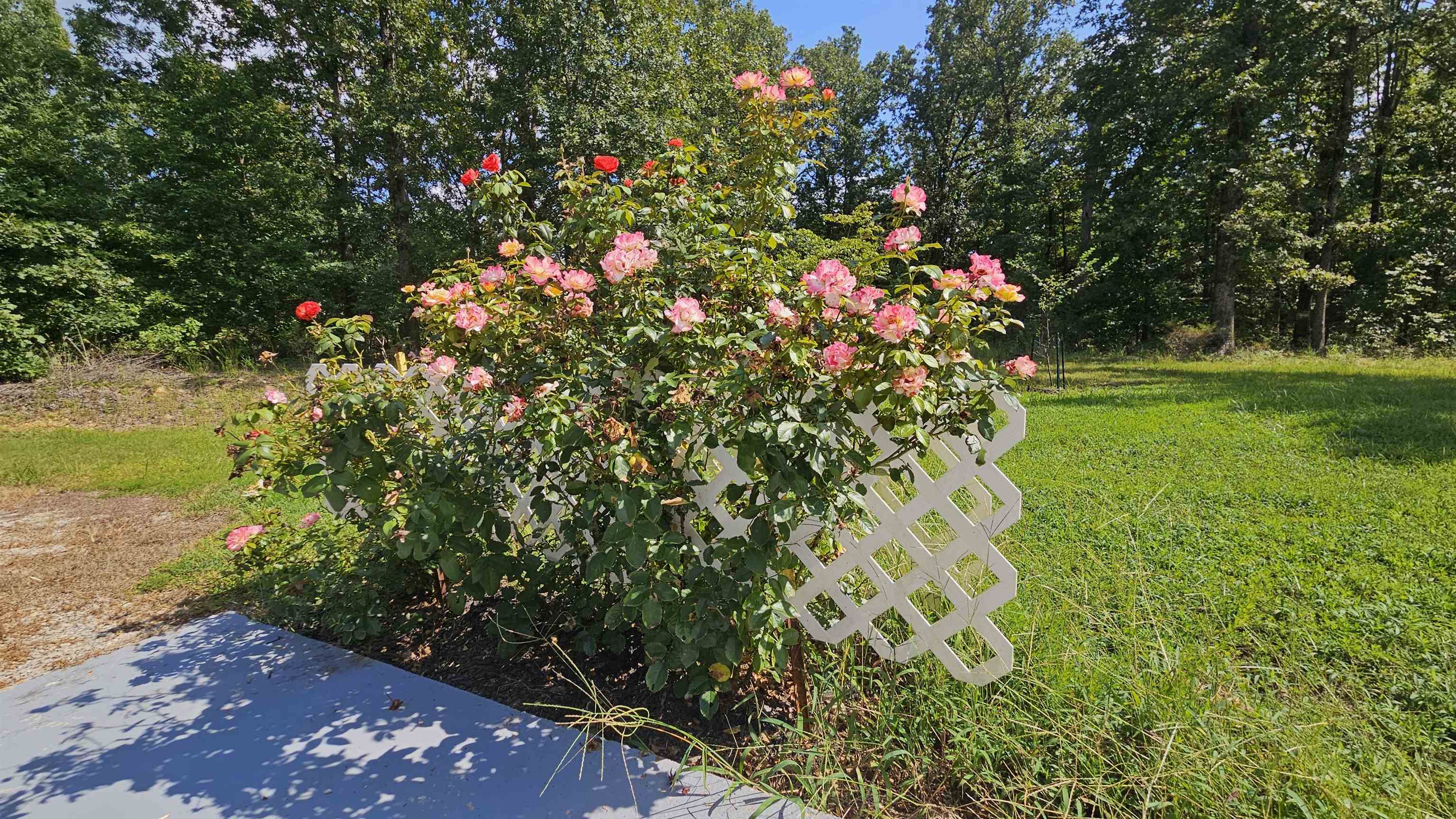 MCFADDEN ADDN BLUFFS - Residential