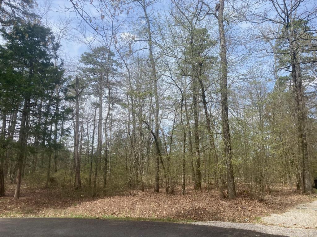 Beautiful level wooded lot. Lot is located in a cul-de-sac. View of Lake Balboa from the neighborhood. Hot Springs Village is a gated community with 12 lakes, 9 golf courses, Fitness center, Pickleball Courts, Tennis Complex, Pool, Walking Trails, Community Center and an RV Park. Hot Springs Village is located between Hot Springs and Little Rock. *New Mandatory Fee 1500.00.
