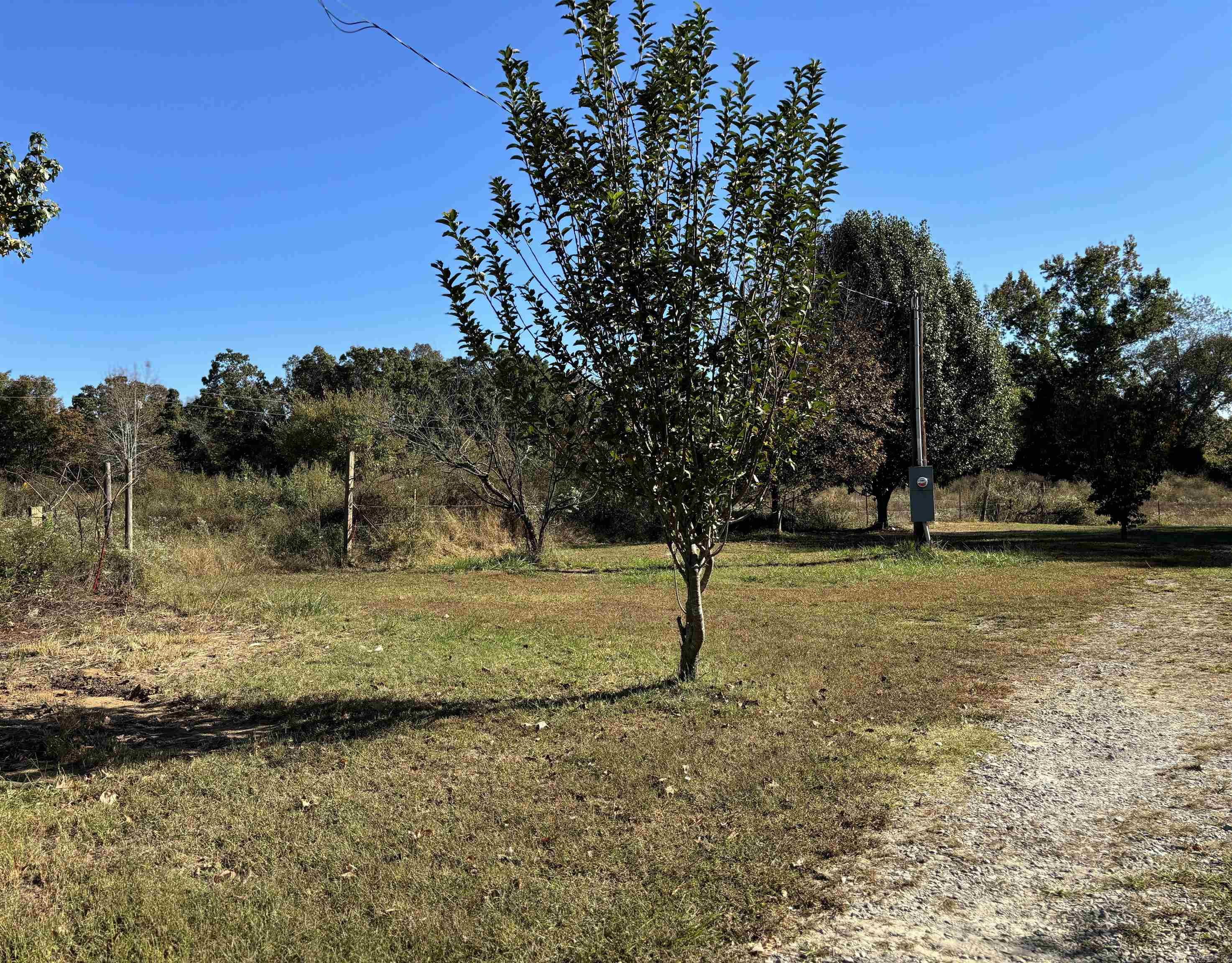 REAMES FARMS - Residential