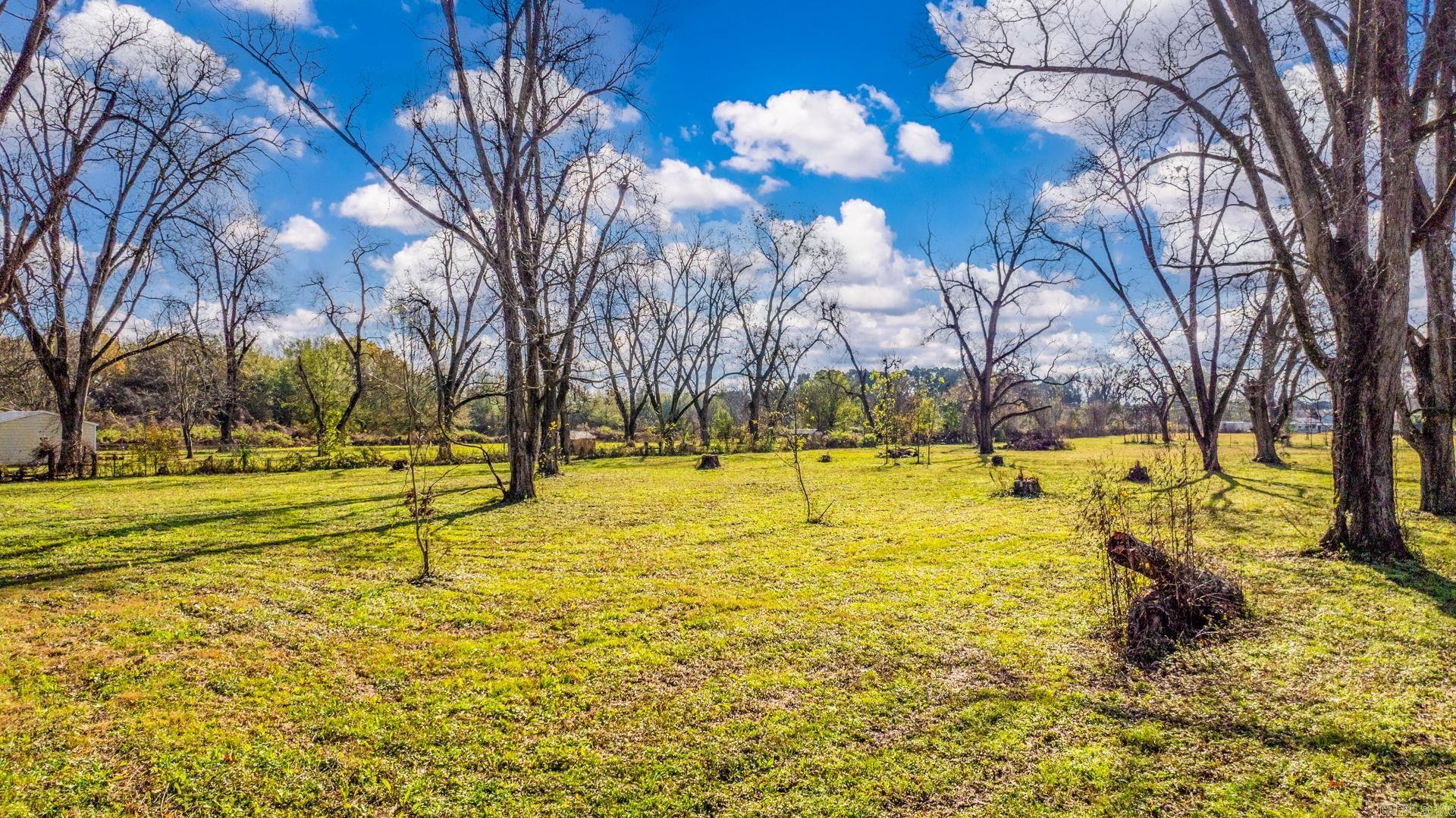 Scott Plantation - Land