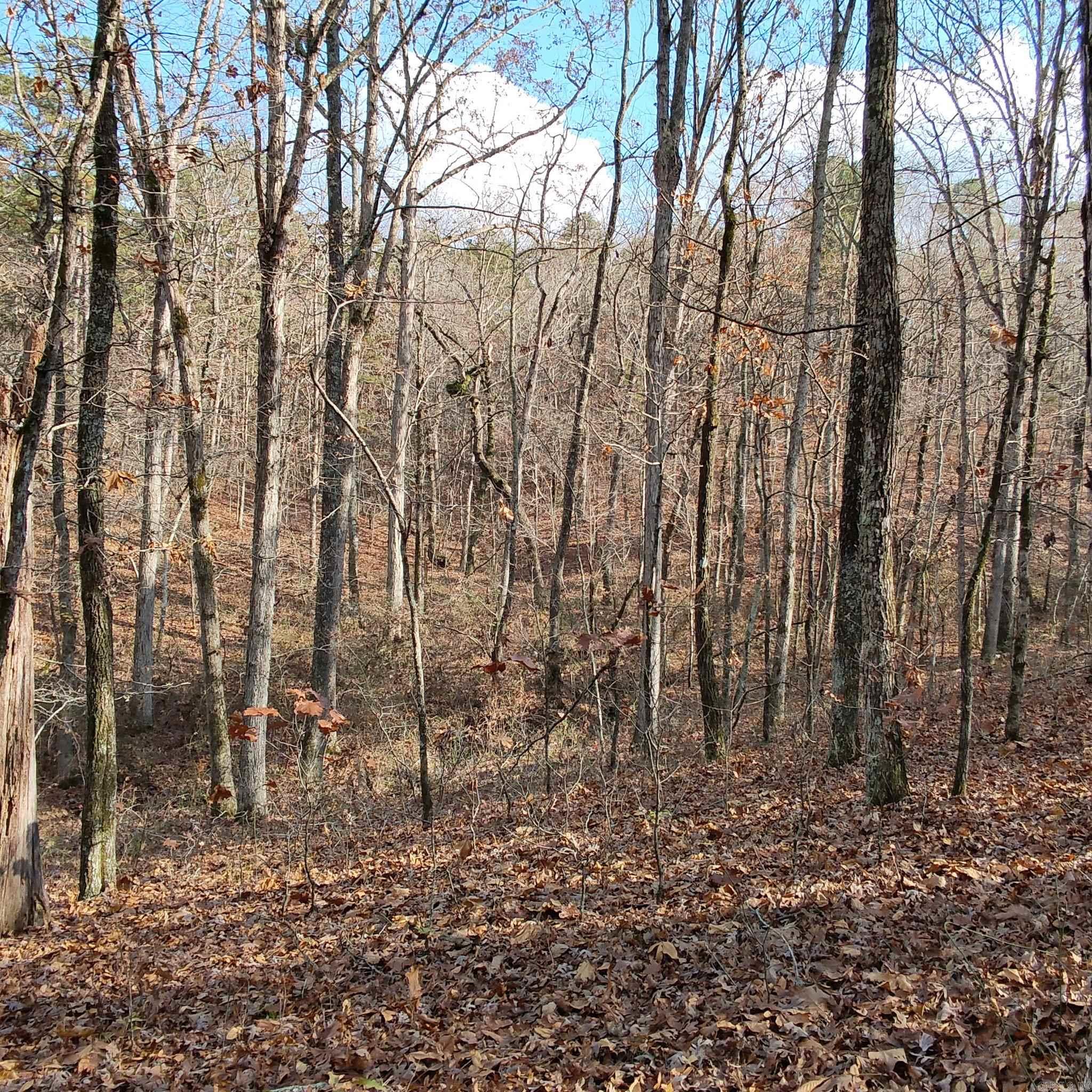 Pryor Mountain - Land