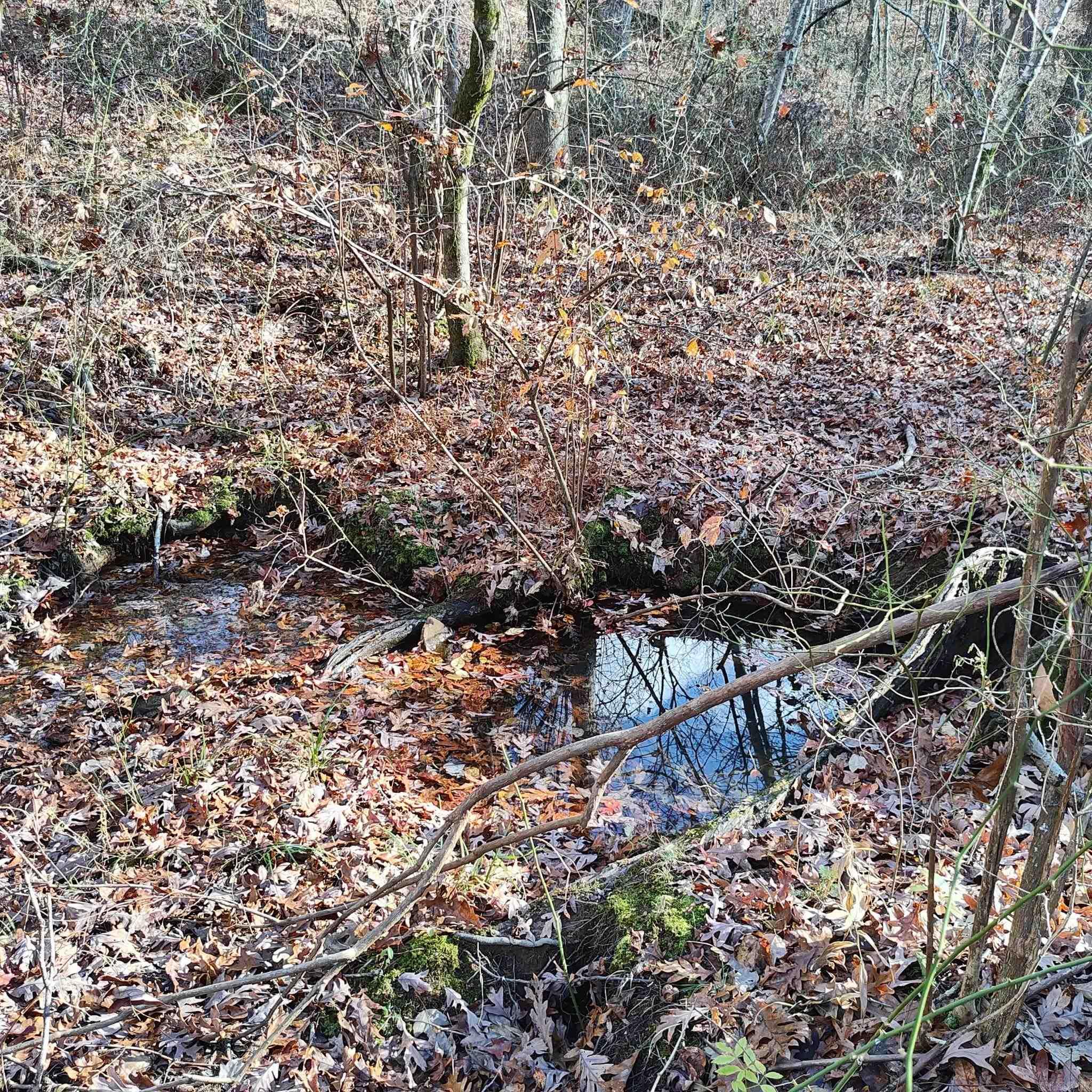 Pryor Mountain - Land