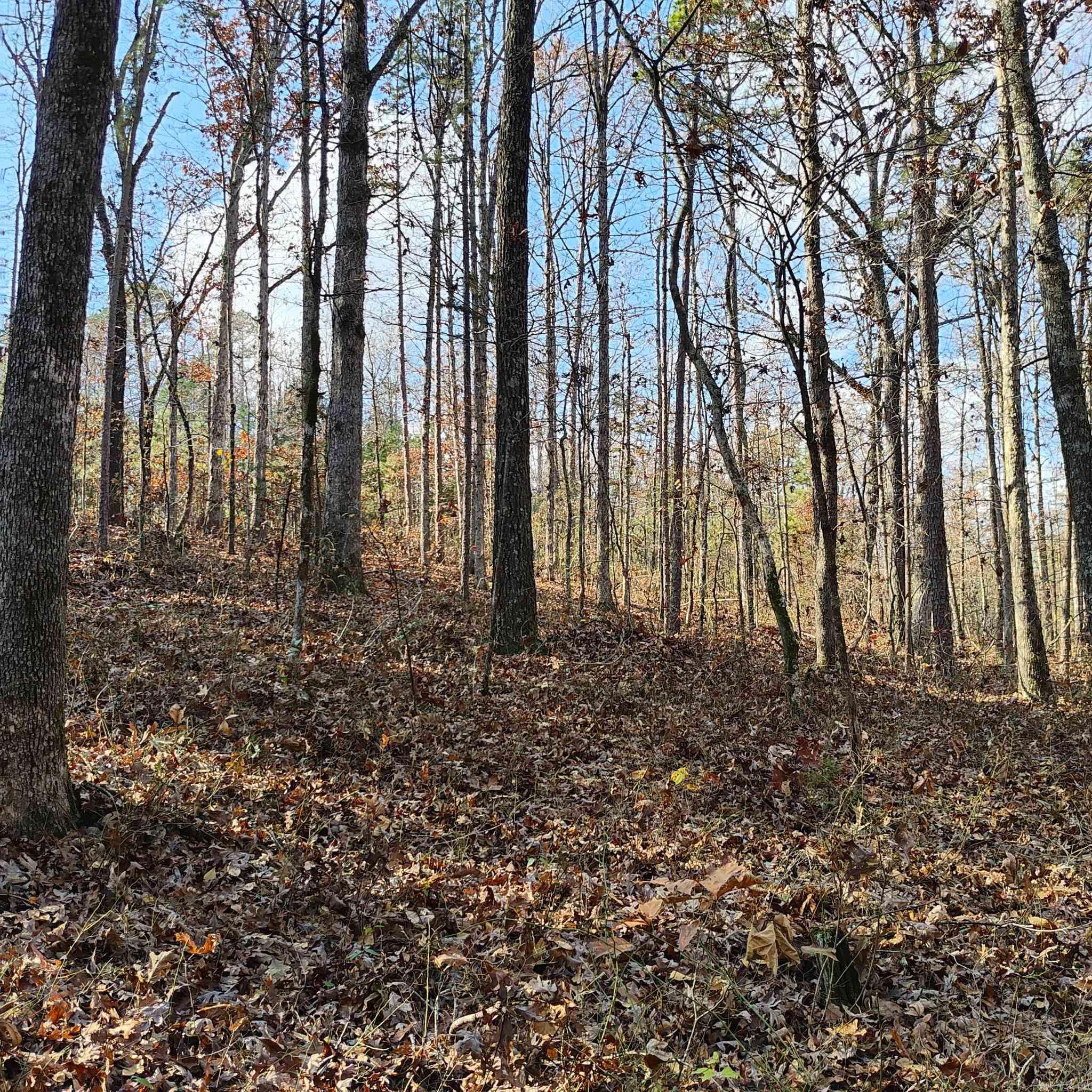 Pryor Mountain - Land