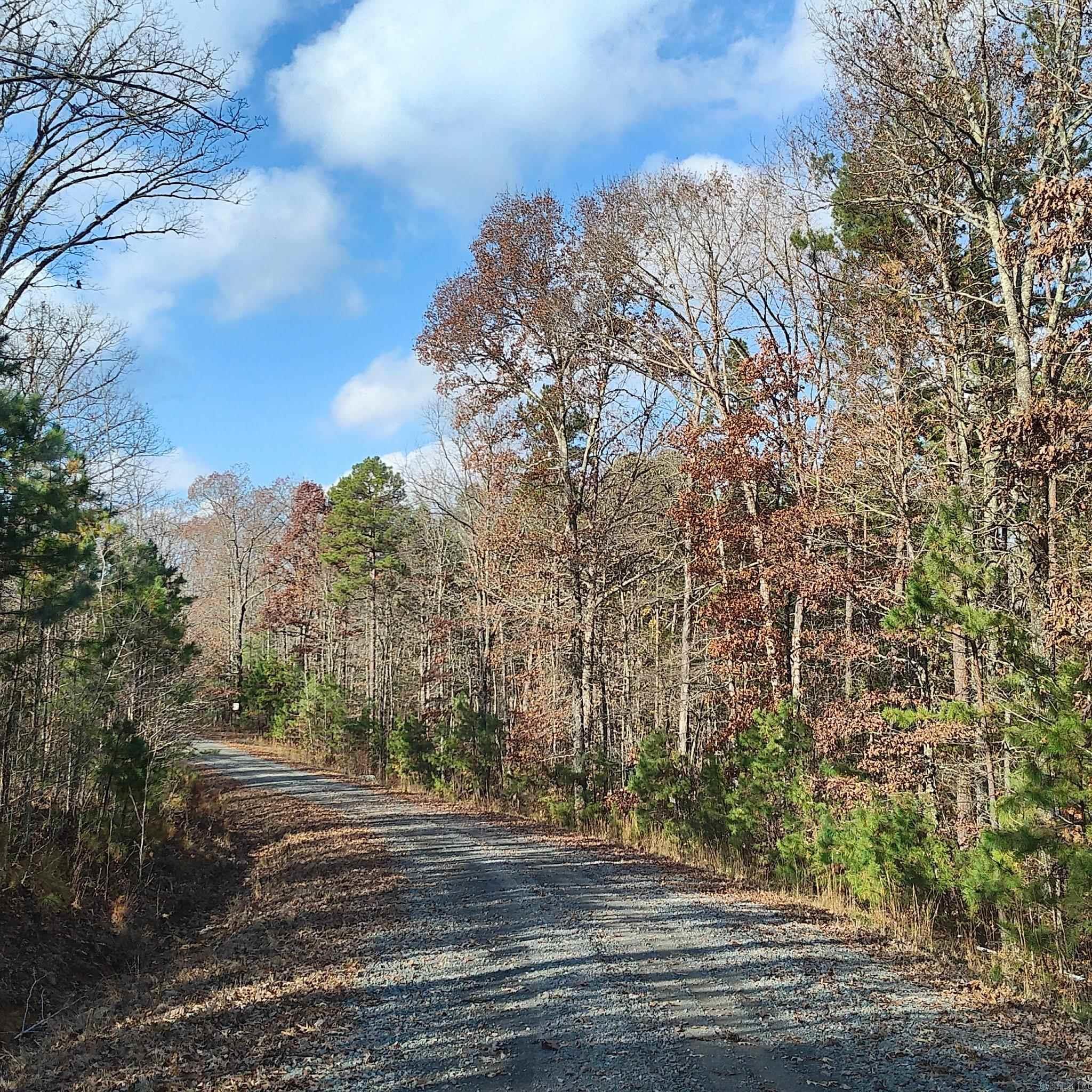 Pryor Mountain - Land