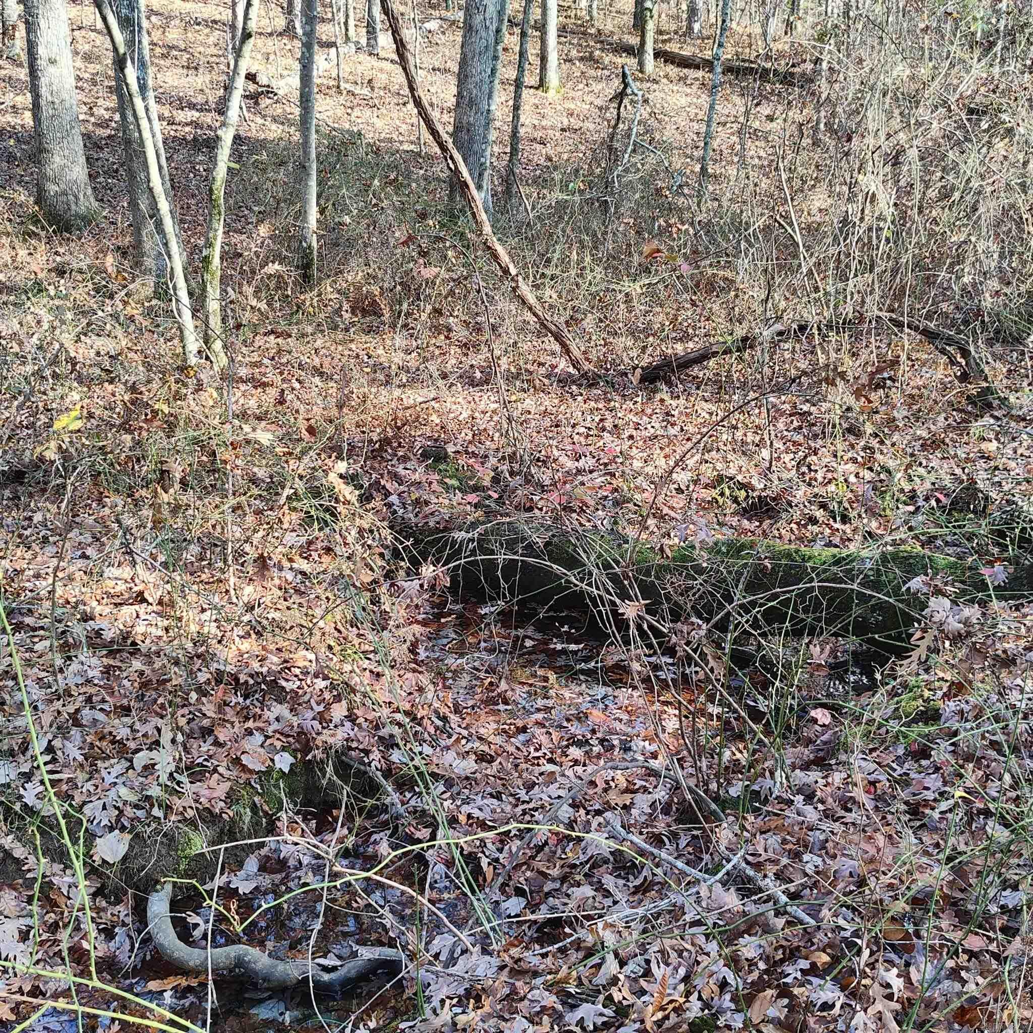 Pryor Mountain - Land