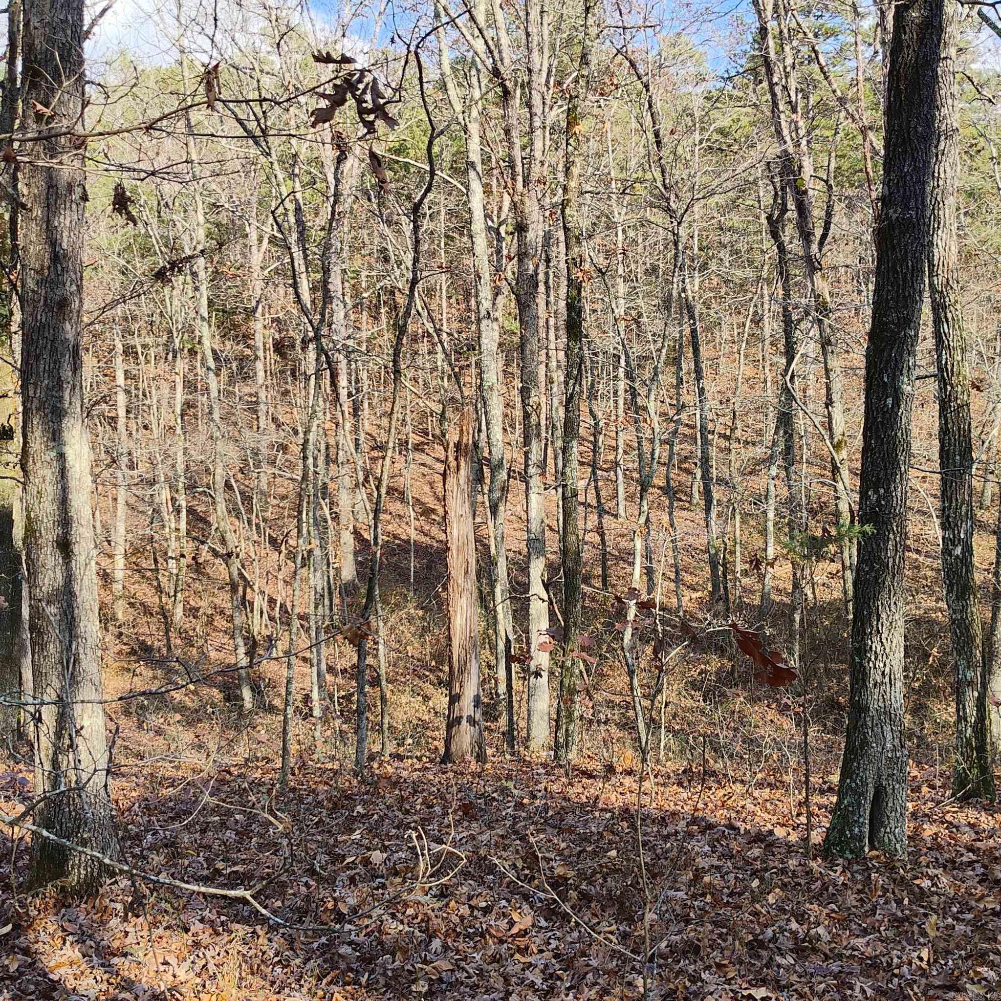 Pryor Mountain - Land