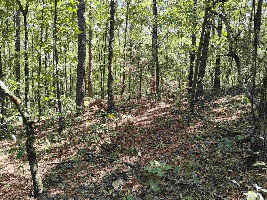Beautiful lot on 3.16 acres to build your forever home!! This lot features city water and electricity with a perfect location to get on the outskirts of town. The lot is densely wooded with a stream that runs thru it. Just imagine sitting on your back porch with a cup of coffee listening to nature and the sound of the water flowing thru the stream on your little piece of paradise. Pryor Mountain is close to Greers Ferry Lake and the Little Red River. Check it out and see the beauty of this area!!!