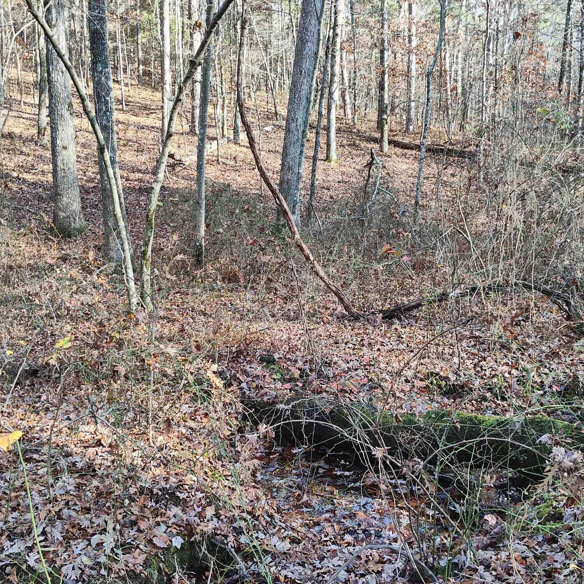 Pryor Mountain - Land