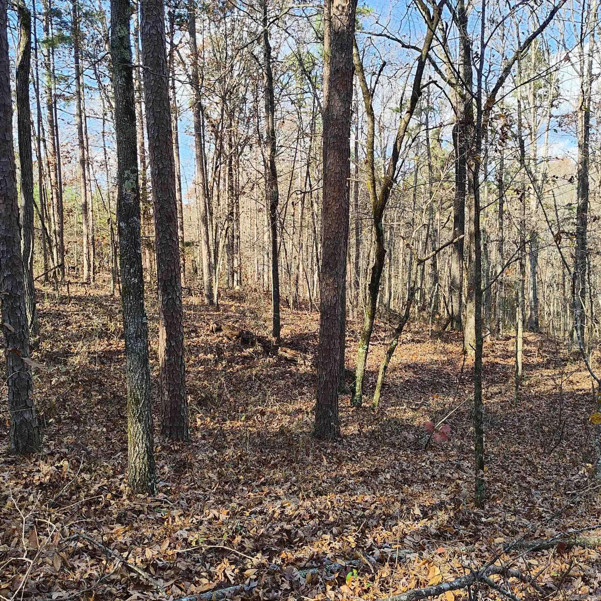Pryor Mountain - Land