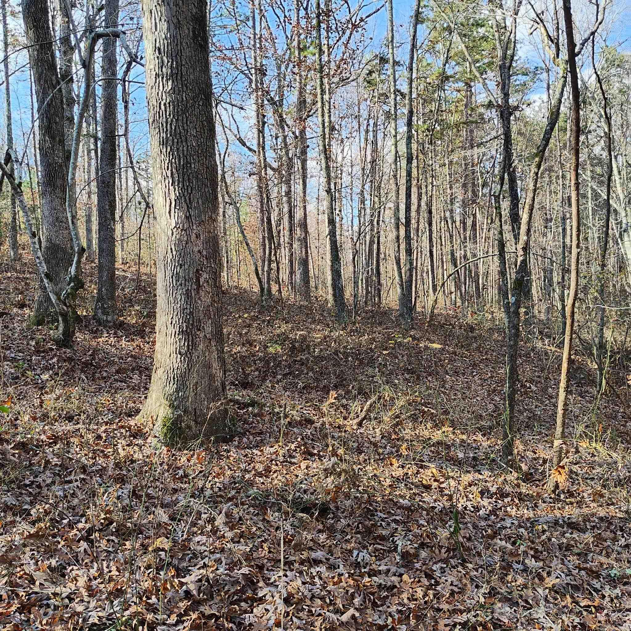 Pryor Mountain - Land