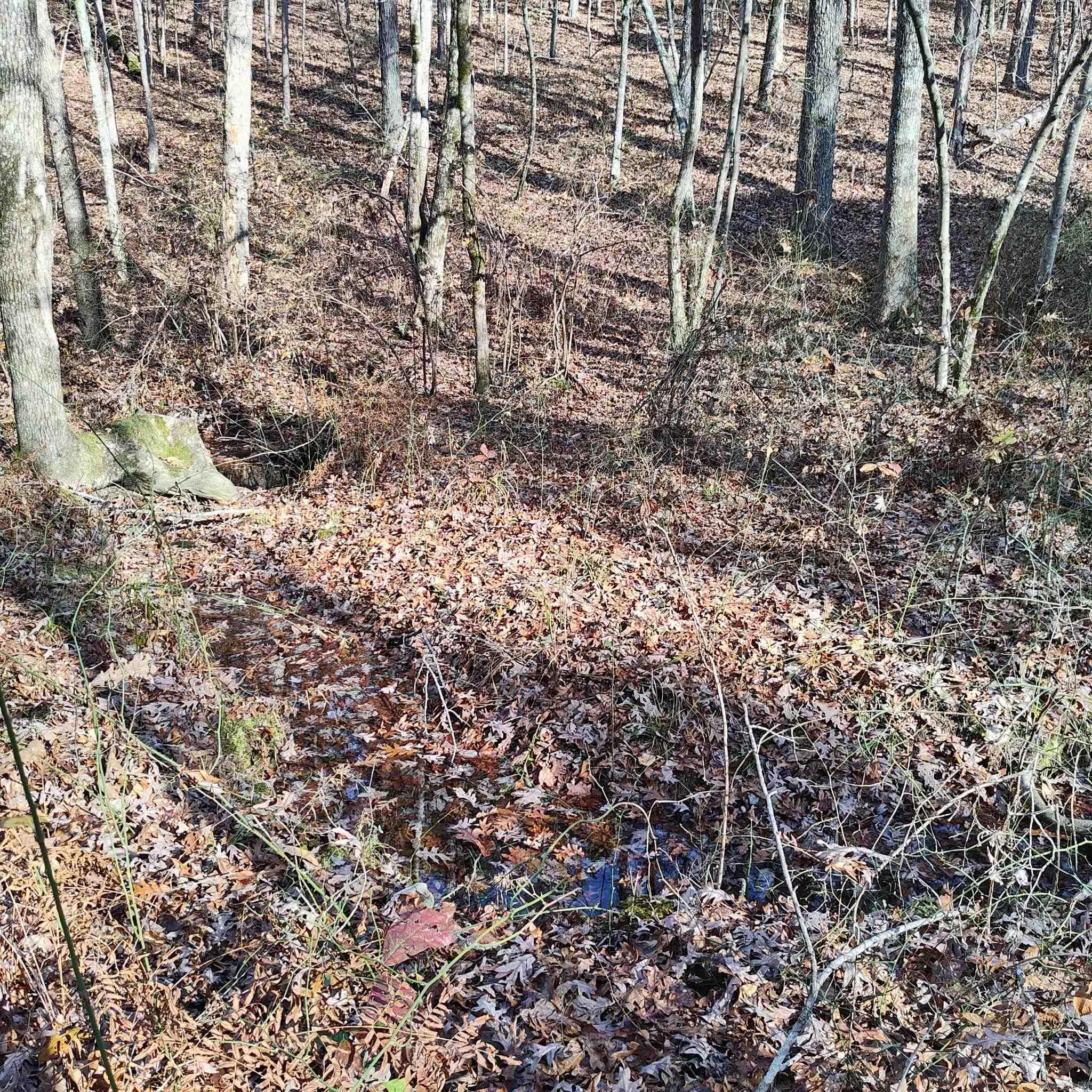 Pryor Mountain - Land