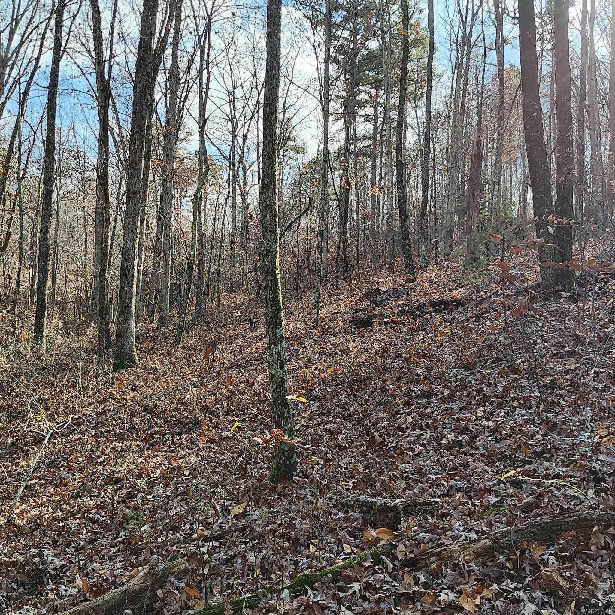 Pryor Mountain - Land