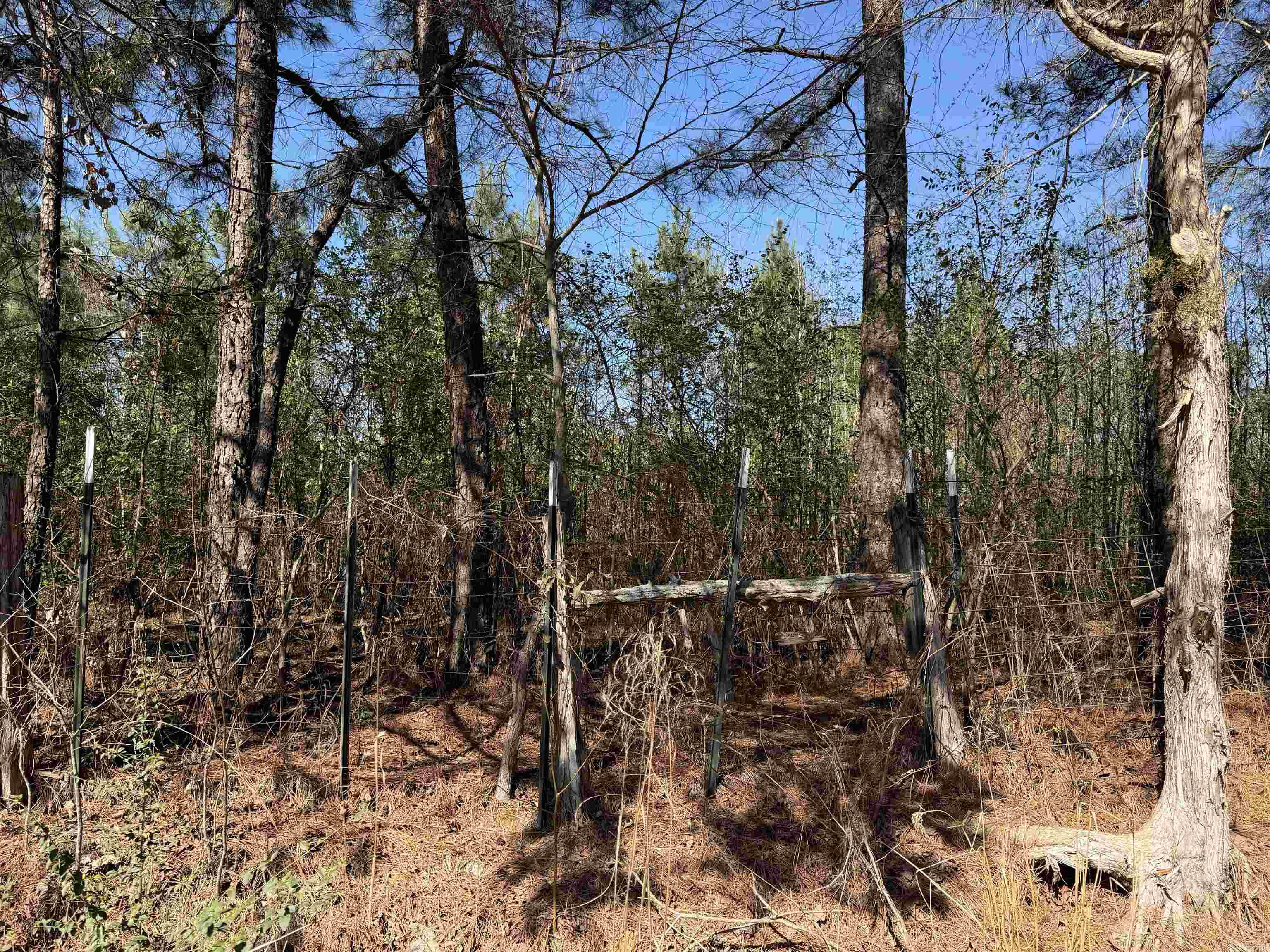 Not in Subdivision - Land