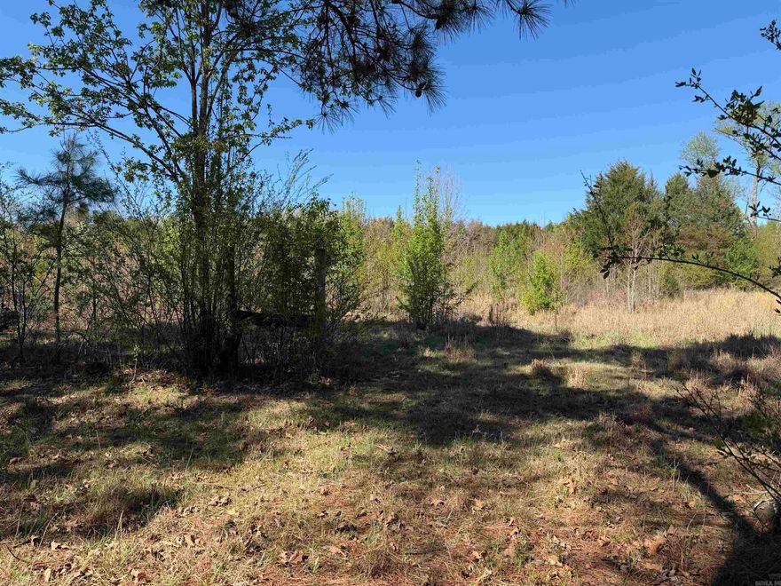 This 16-acre tract in Judsonia offers a rare "best of both worlds" scenario for land buyers or investors:  Recreational Potential: The mix of wooded areas provides natural cover for deer and turkey hunting. While the old pasture requires clearing and restoration work, it offers a blank canvas for food plots or a hobby farm.    Strategic Location with Direct Frontage to I-57: Being right at Exit 48 off I-57, you have frontage on the east border. This is a major value-add for potential commercial rezoning or future resale as the corridor between Searcy and Bald Knob develops.  Proximity: You’re only 12 minutes from Searcy and Bald Knob, meaning you can enjoy rural seclusion without a long trek for groceries, healthcare or dining.  Land is a rare commodity. To have this opportunity is bonus. Make your appointment today.