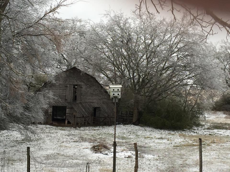 BISMARCK ESTATES - Residential